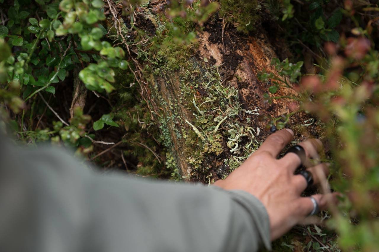 Primal Norway - Survival Courses in Norway - Kyt Lin Walken - Mantracking Course
