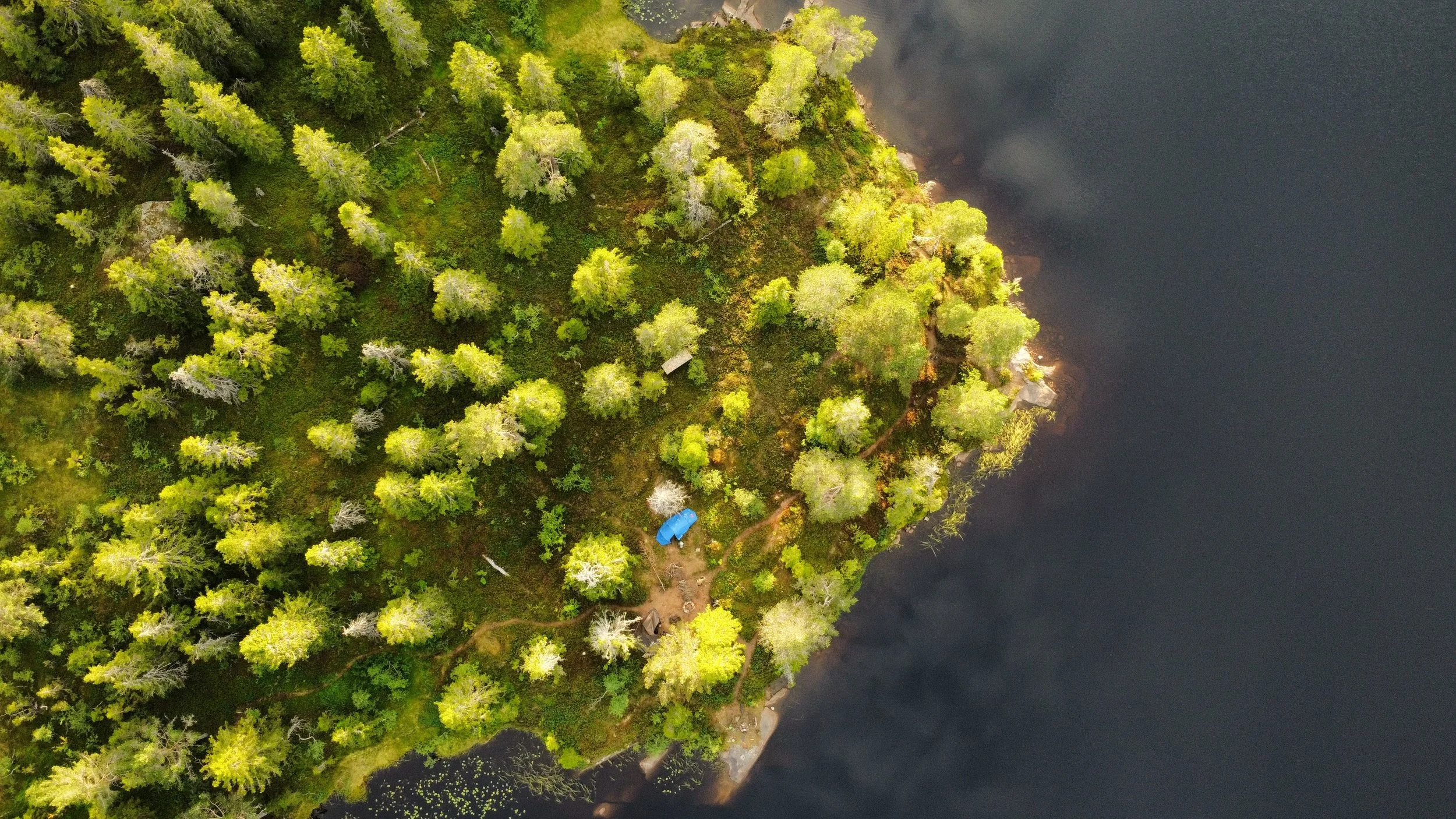 Primal Norway - Survival Courses in Norway 