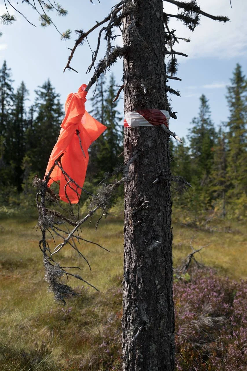Primal Norway - Survival Courses in Norway 