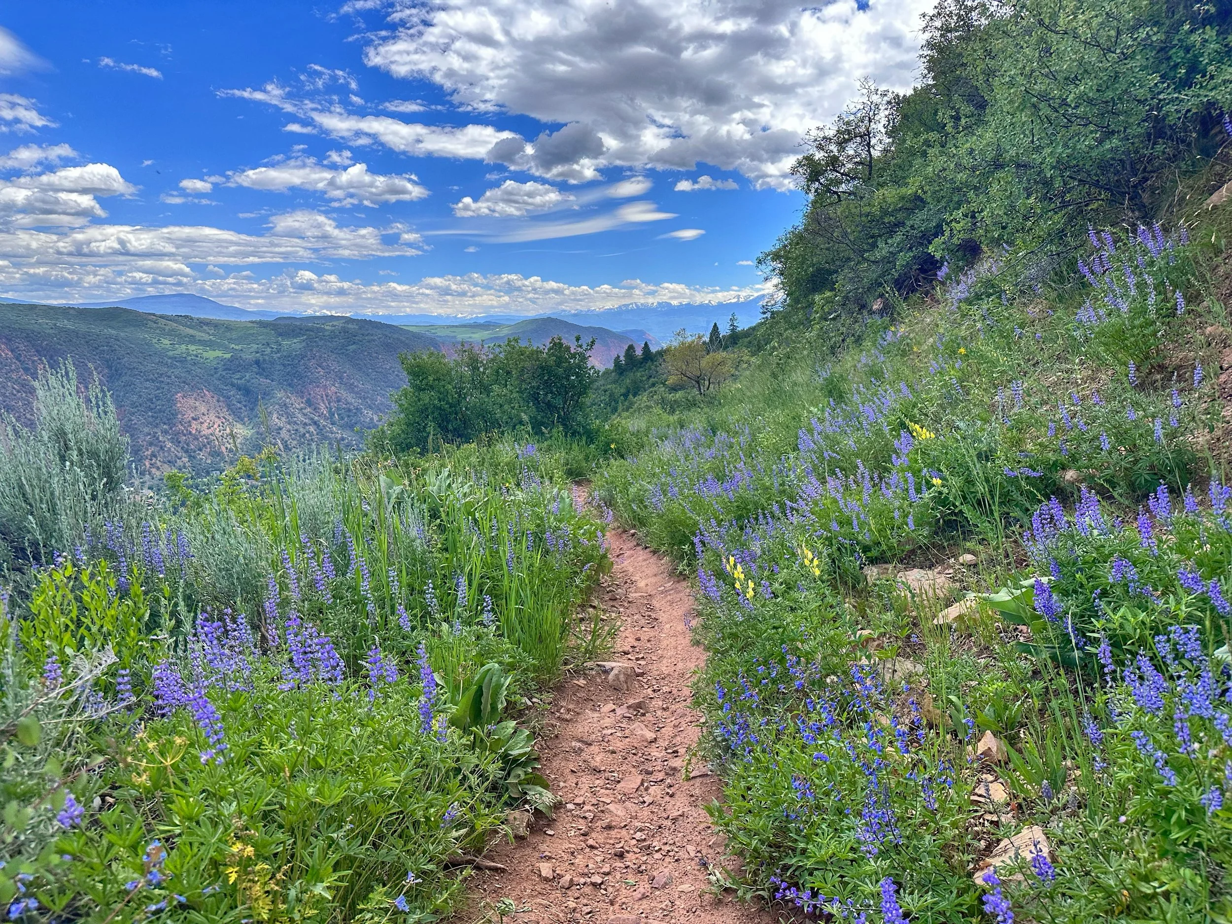 trails