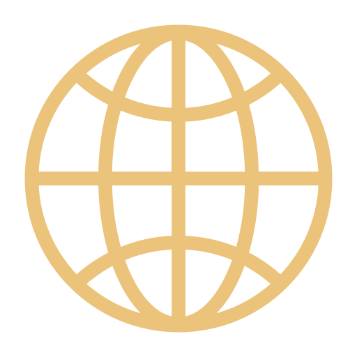 Icon of a globe with grid lines, representing the world or global concept.