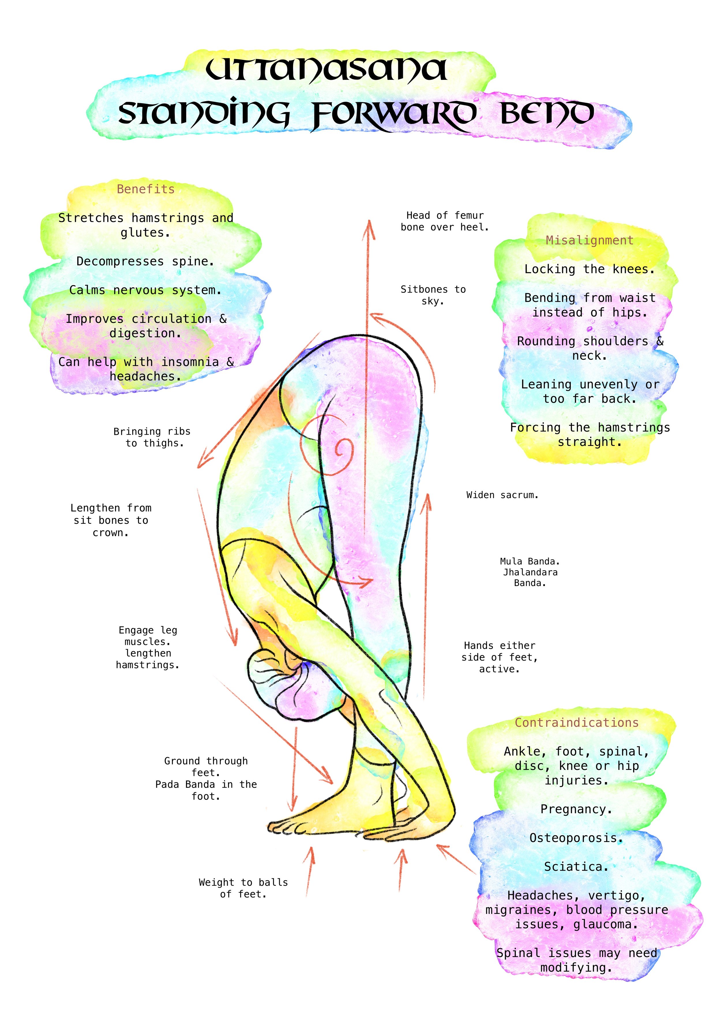 A colorful diagram illustrating the Uttanasana standing forward bend yoga pose, with annotations about benefits, misalignments, and contraindications, including stretching hamstrings, calming nervous system, and avoiding certain injuries or conditions.