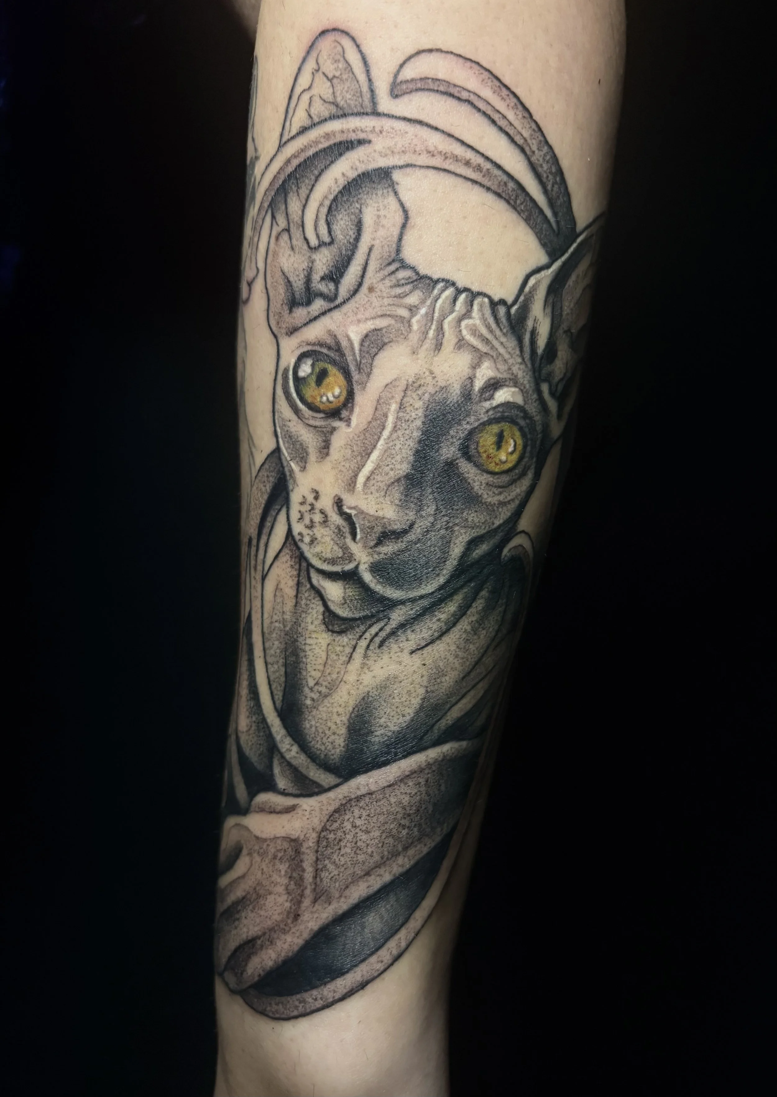 Tattoo of a cat with large yellow-green eyes and detailed shading on a person's arm.