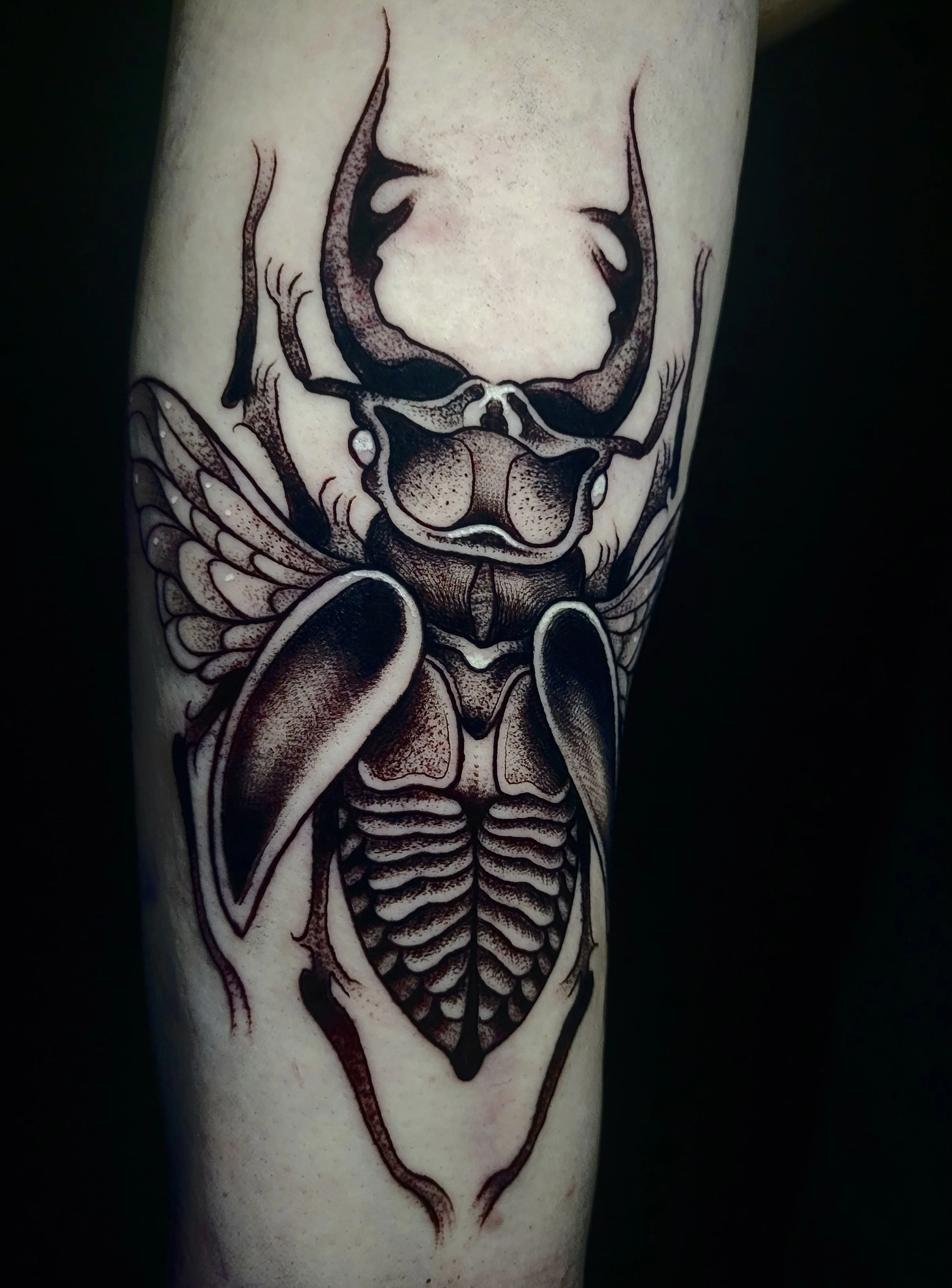 Tattoo of a skull with insect wings and a detailed, segmented body on a person's arm.