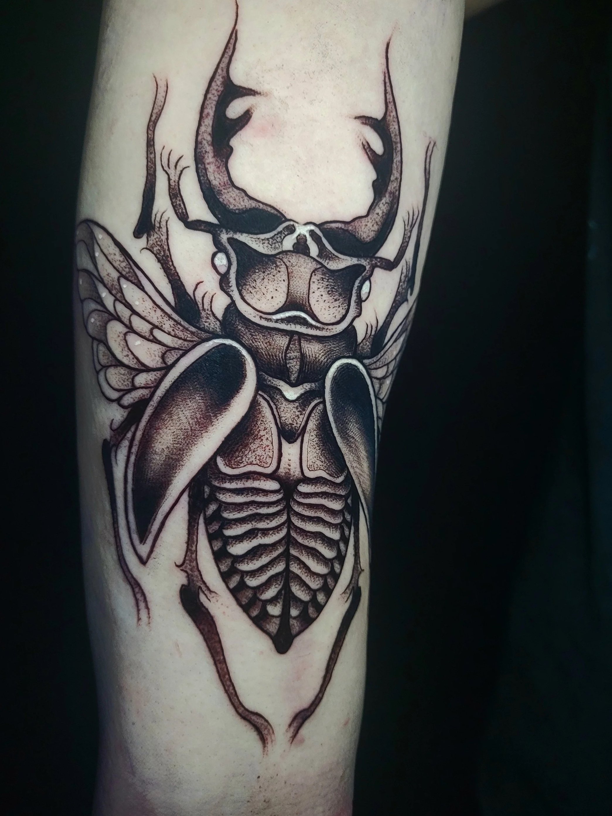Tattoo of a stylized deer skull with antlers and a beetle or insect with wings.