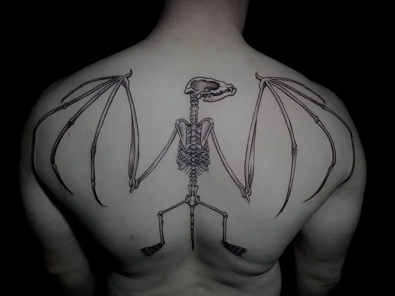 Tattoo of a bat skeleton with wings on a person's upper back.