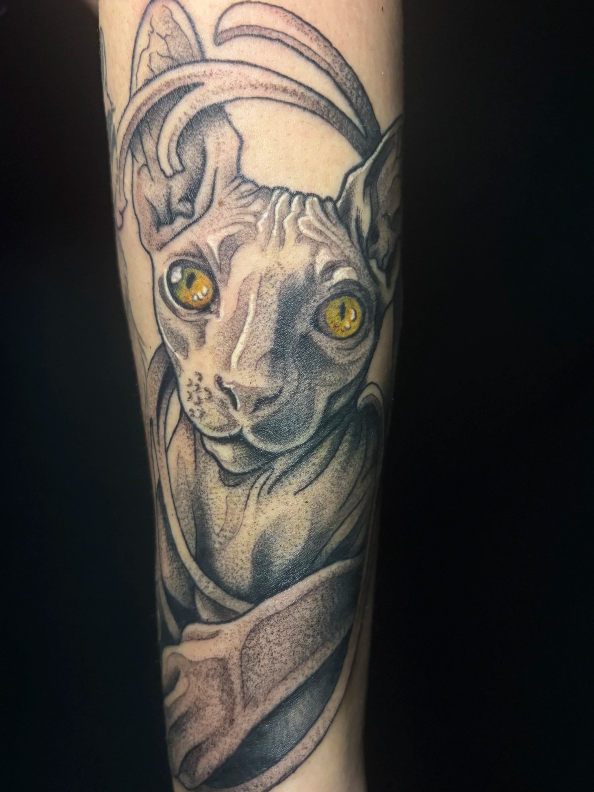 Black and gray tattoo of a cat with yellow eyes on a person's arm.