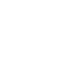 Wisconsin River Partners logo mark.