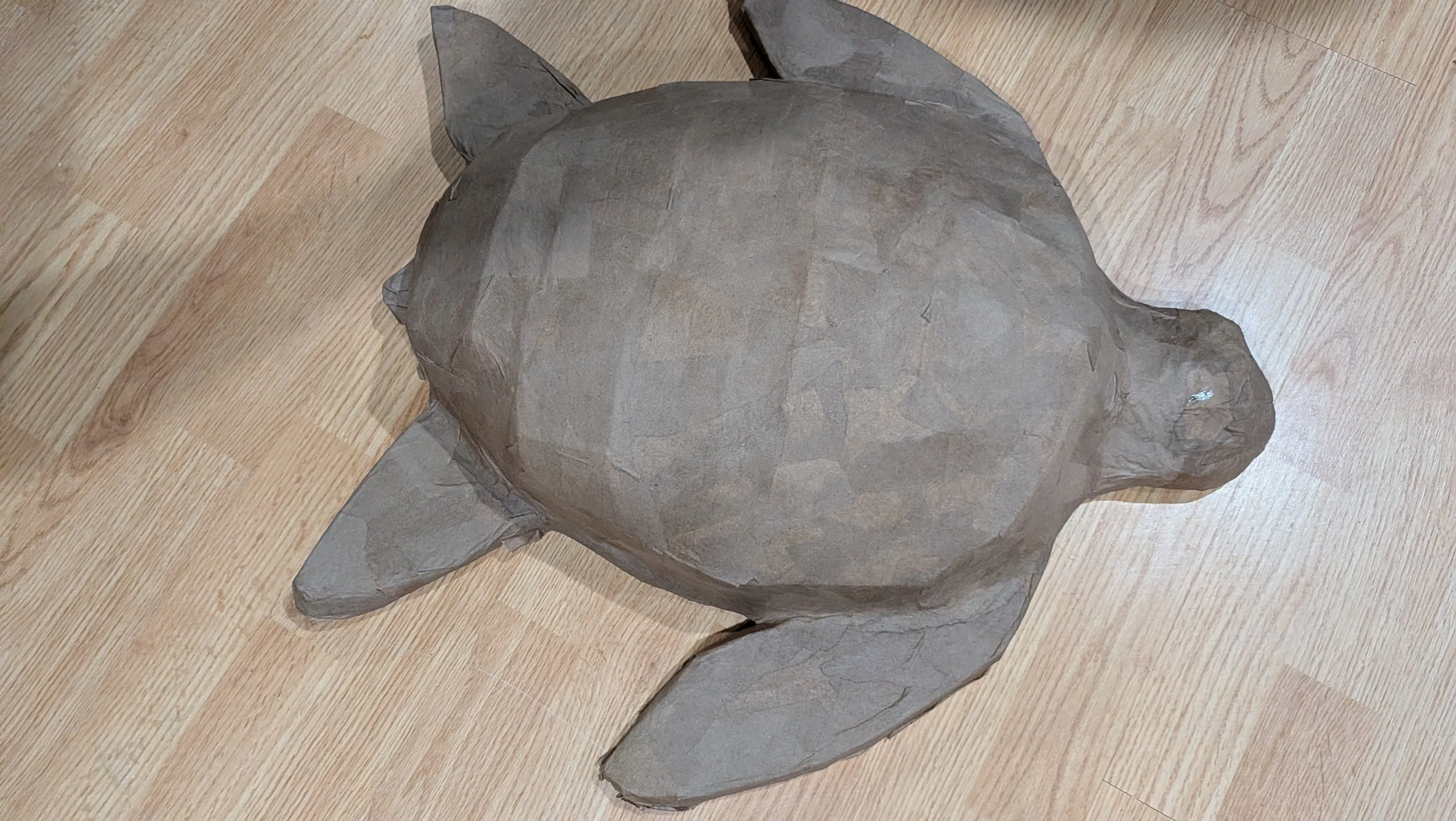 chonk turtle.jpg