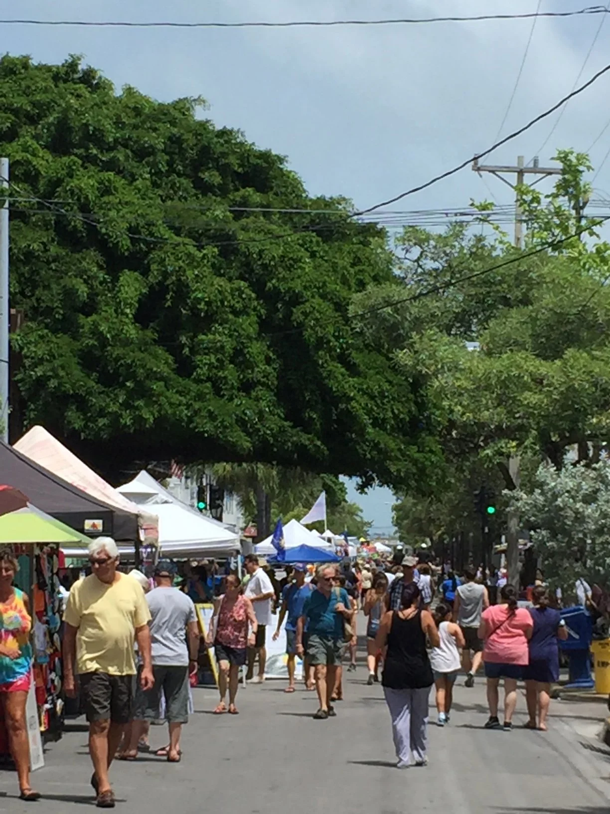 A busy outdoor street fair with tents, booths, and a crowd of people walking on a street lined with trees.