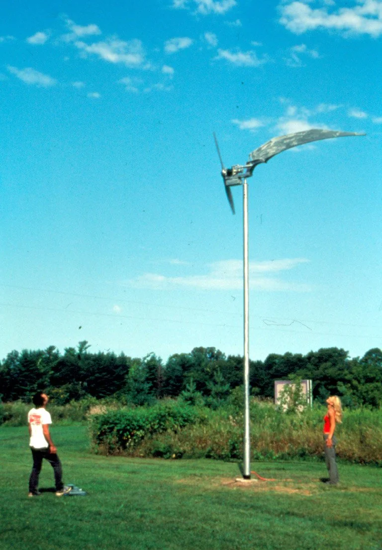 10. Dragonfly-Franconia, WI copy.jpg