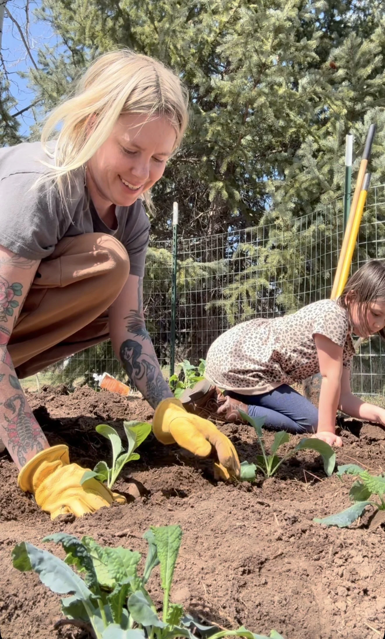 A woman and a young girl planting seedlings in a garden during the daytime. The woman has long blonde hair, tattoos on her arms, and is wearing yellow gardening gloves. The girl is wearing a leopard print shirt and jeans. They are working in the soil with green plants around them, and there is a metal fence and trees in the background.