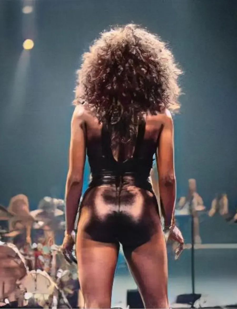 A show with choreographies and outfits that only Tina could pull off.