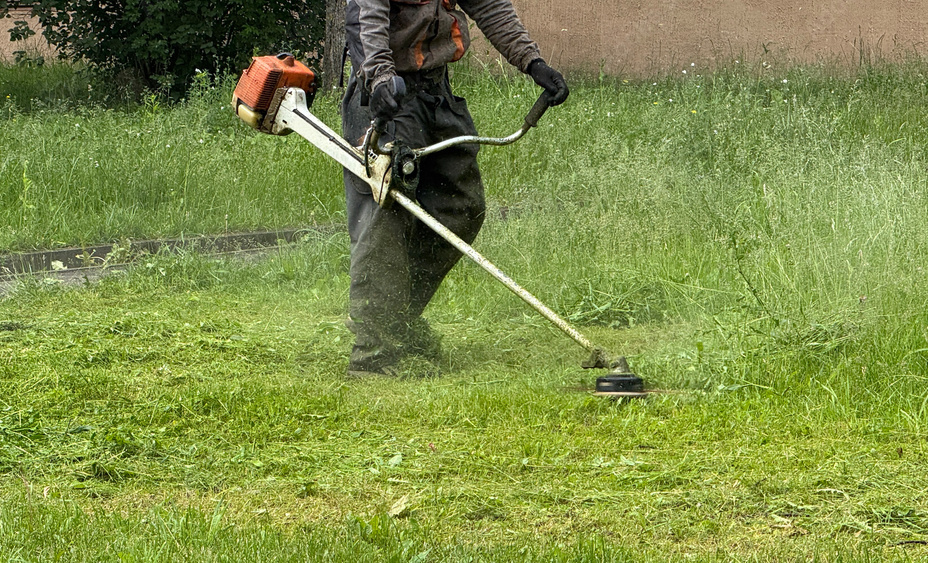 Person using a gas-powered string trimmer to cut grass in a backyard.