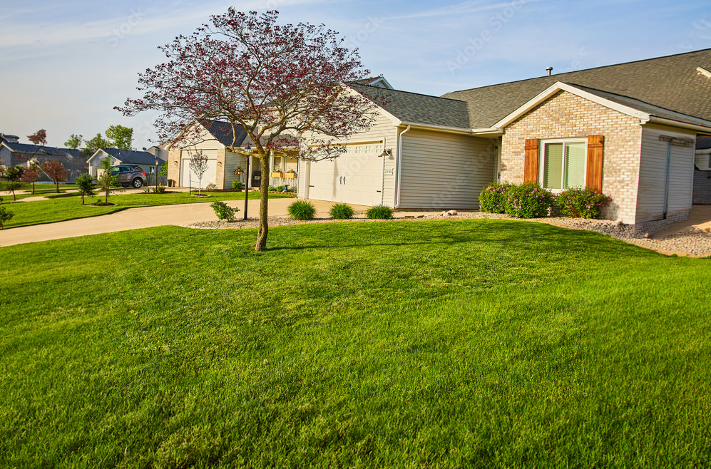 Suburban house with a front yard featuring green grass, a small tree, and shrubs; driveway leading to a garage; neighboring houses visible in the background.