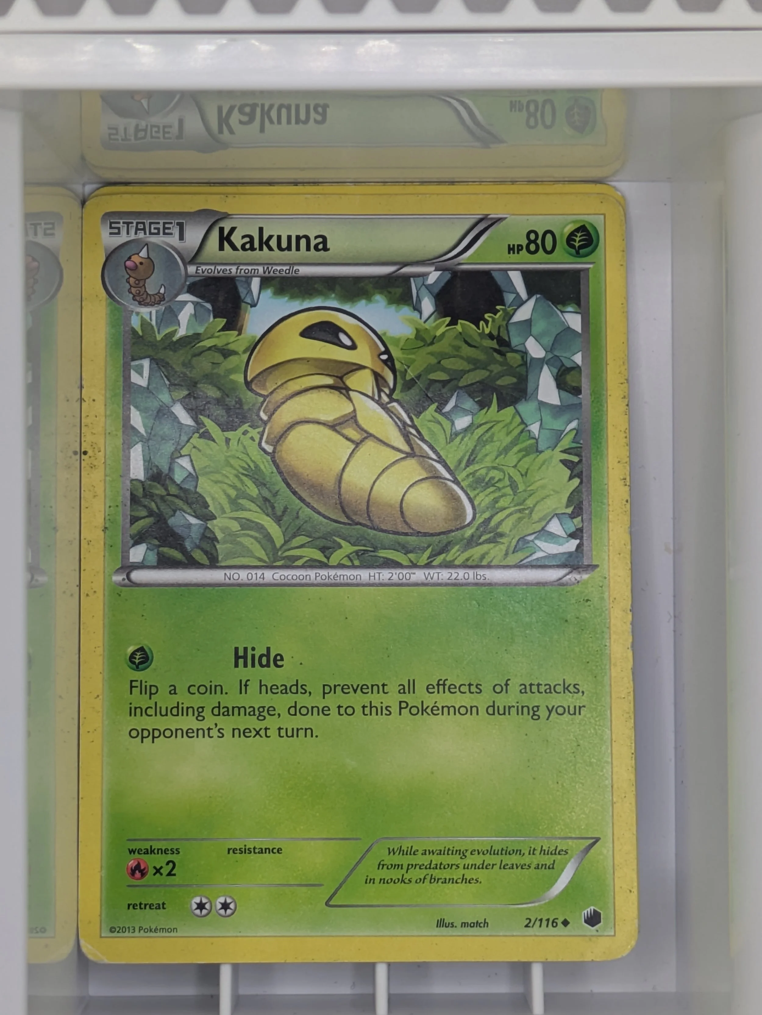 Plasma Freeze - Kakuna 2/116 Light Played