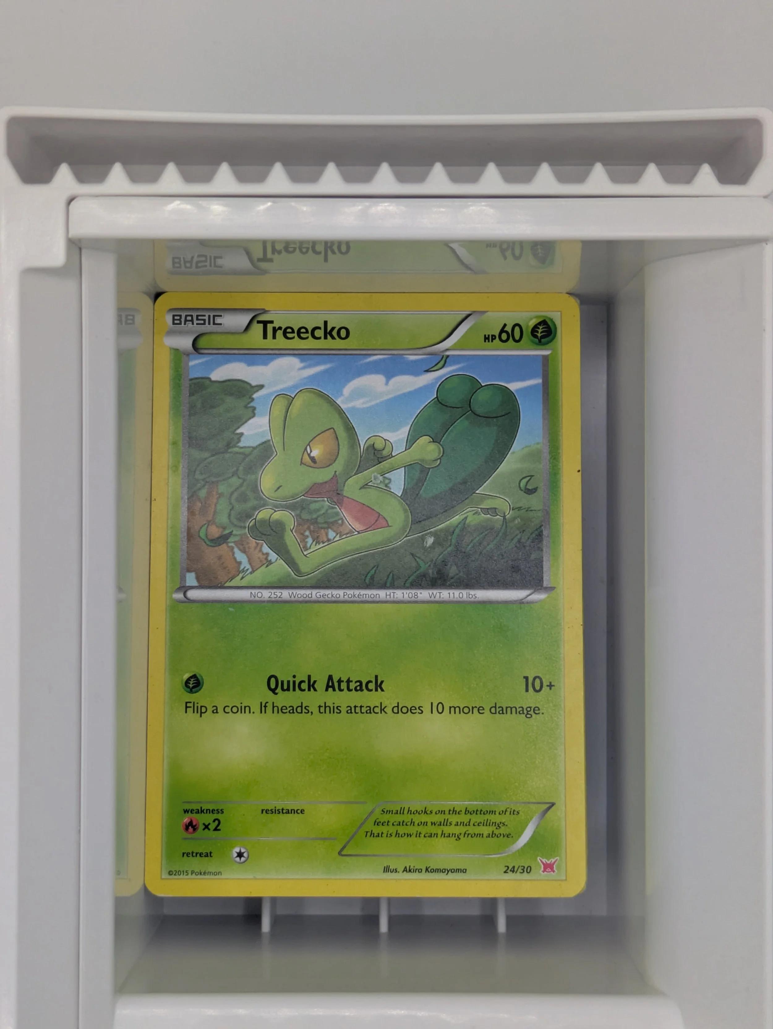 Trainer Kit Latios & Latias - Treecko 24/30 Light Played