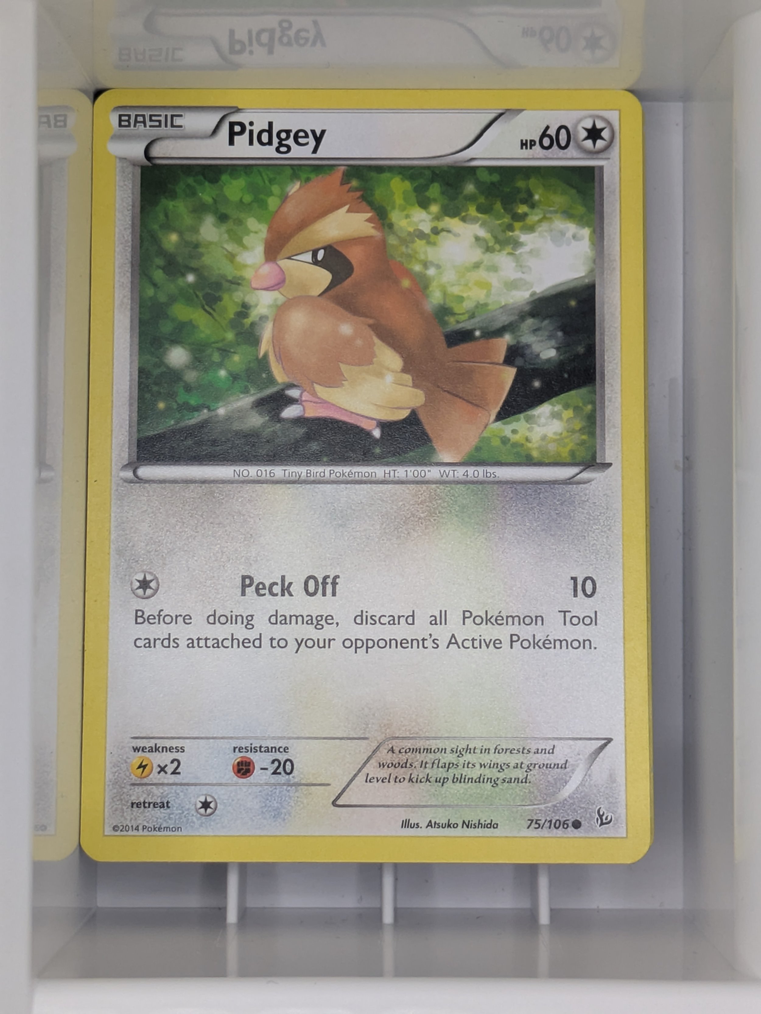 Flashfire - Pidgey 75/106 Light Played