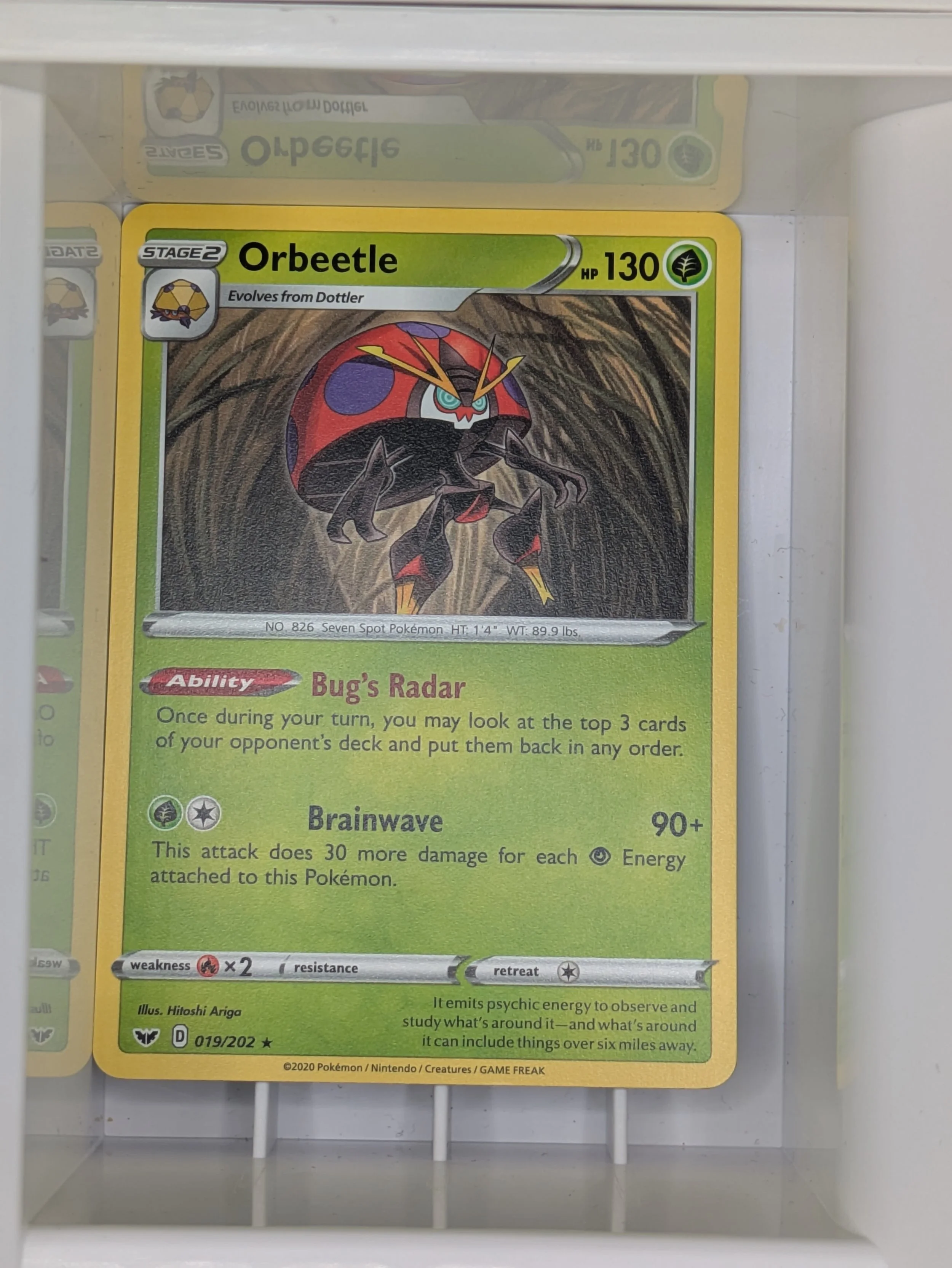 Orbeetle 19/202 Light played