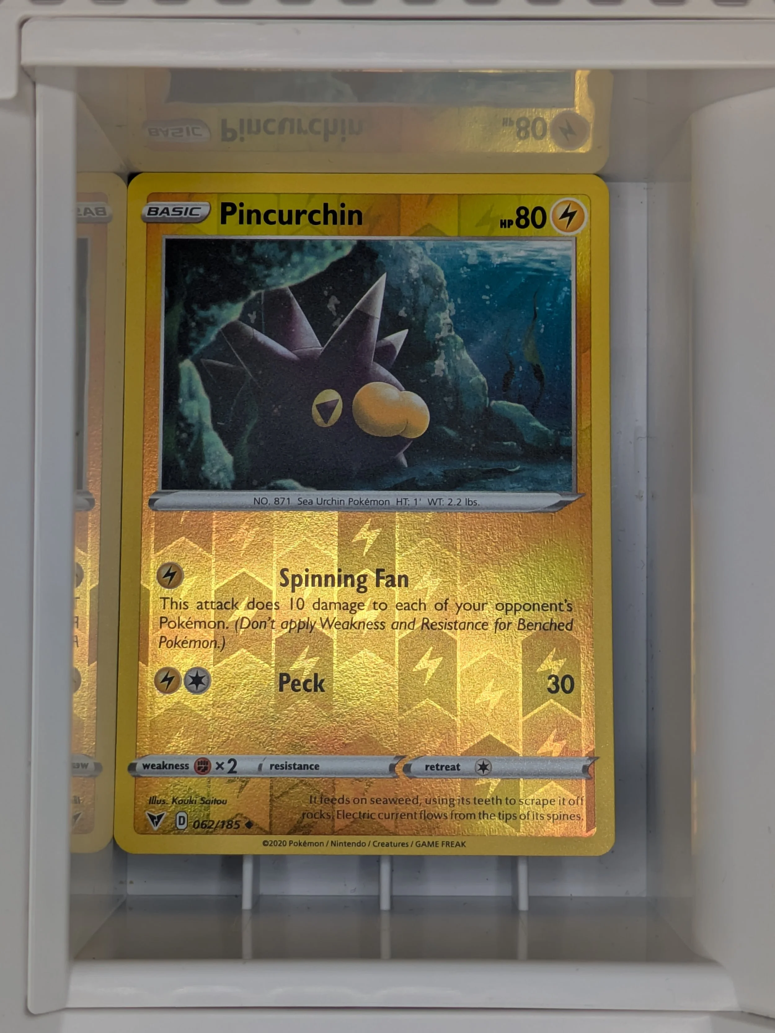 Pincurchin 62/185 Reverse Holo Light Played