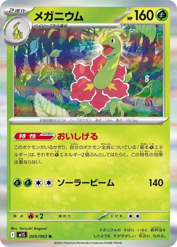 Meganium 5/63 Holo Near Mint