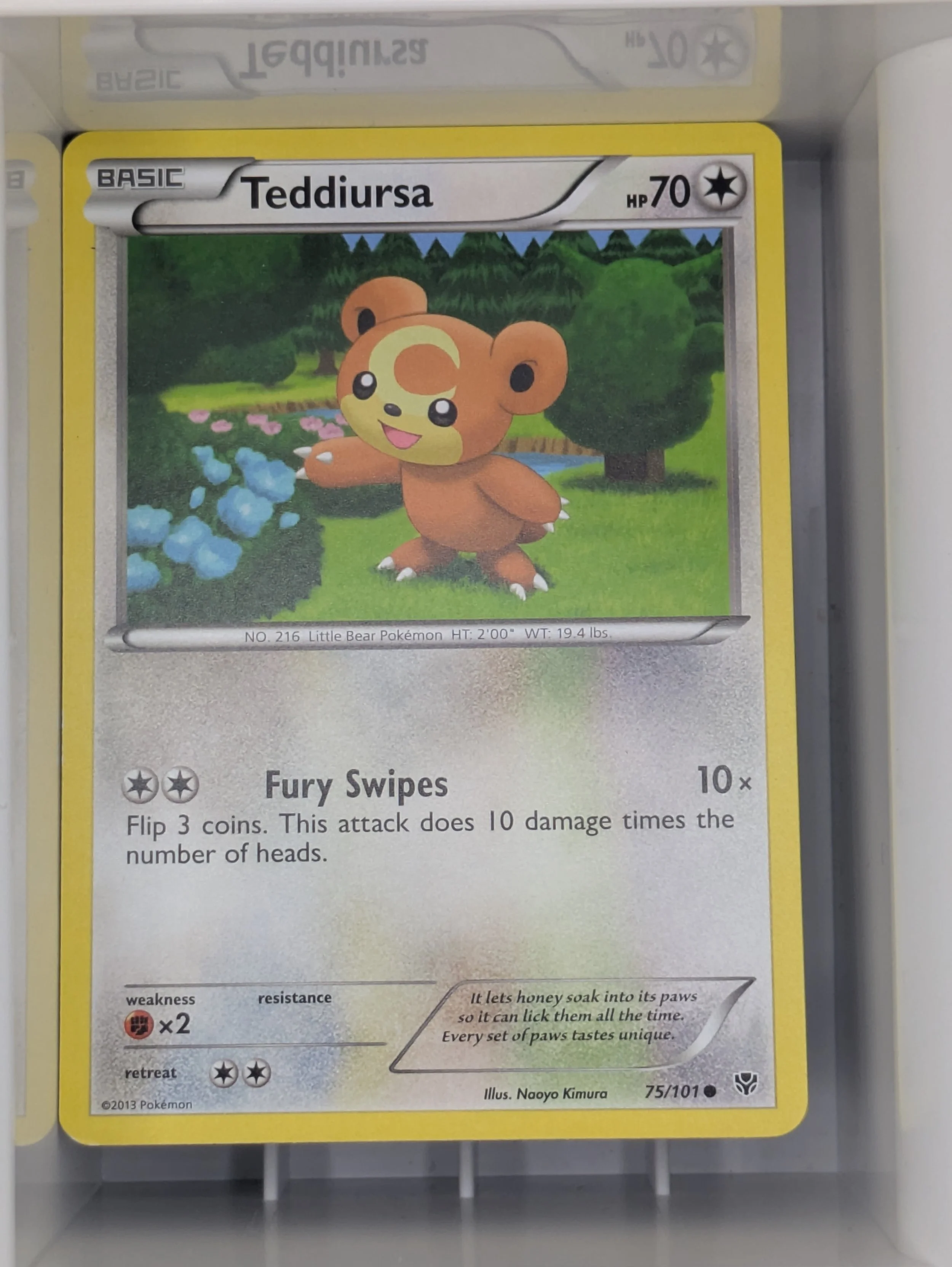 Plasma Blast - Teddiursa 75/101 Light Played