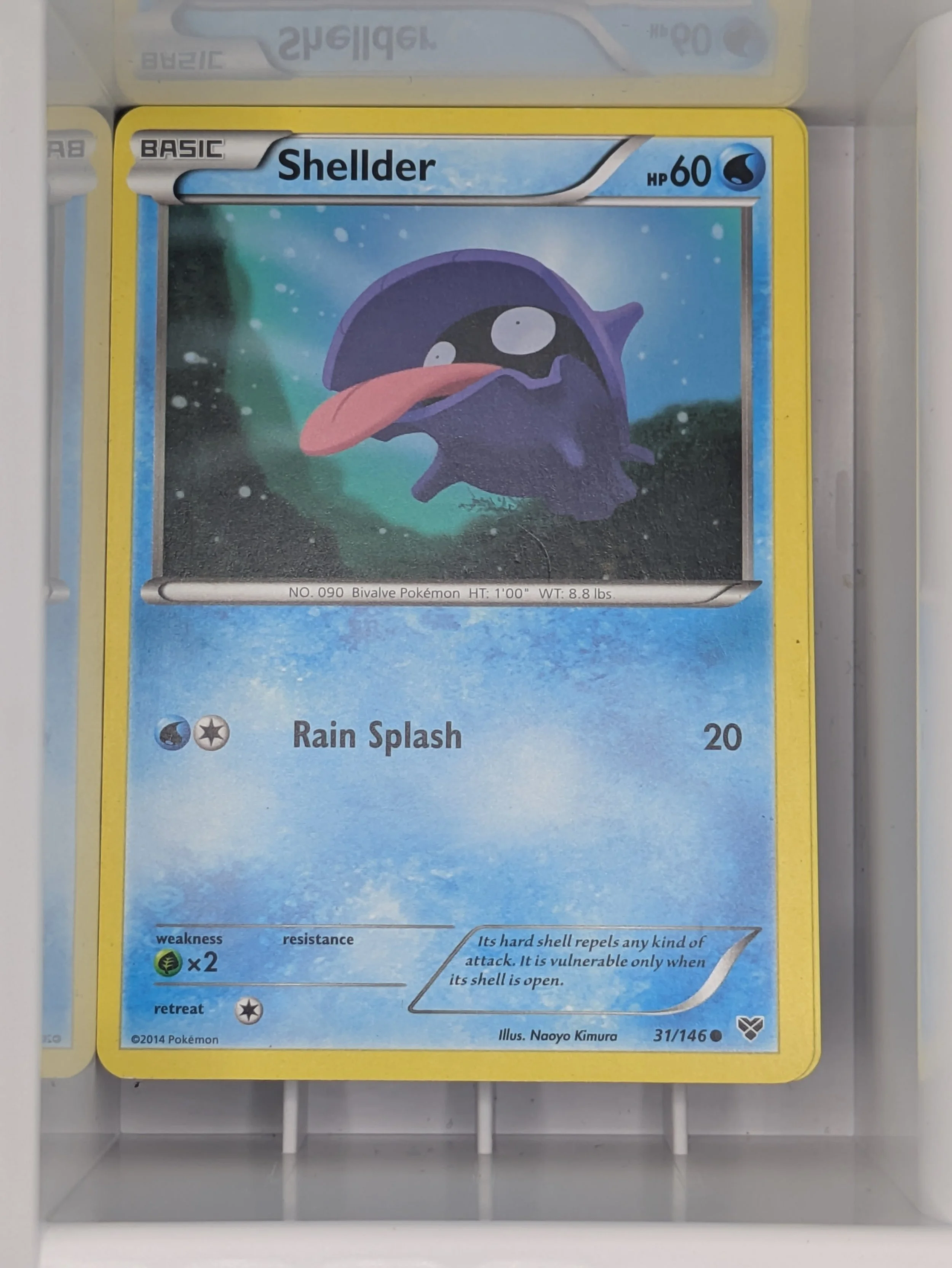 XY - Shellder 31/146 Light Played