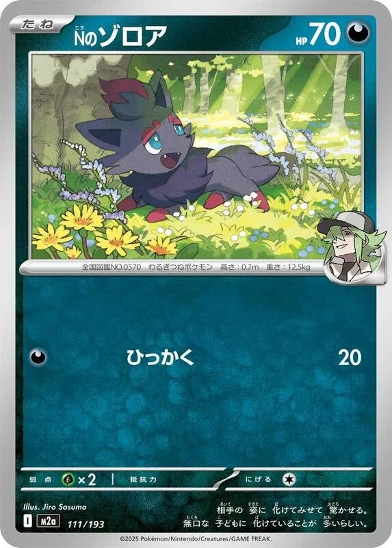 N's Zorua 111/193 Near Mint