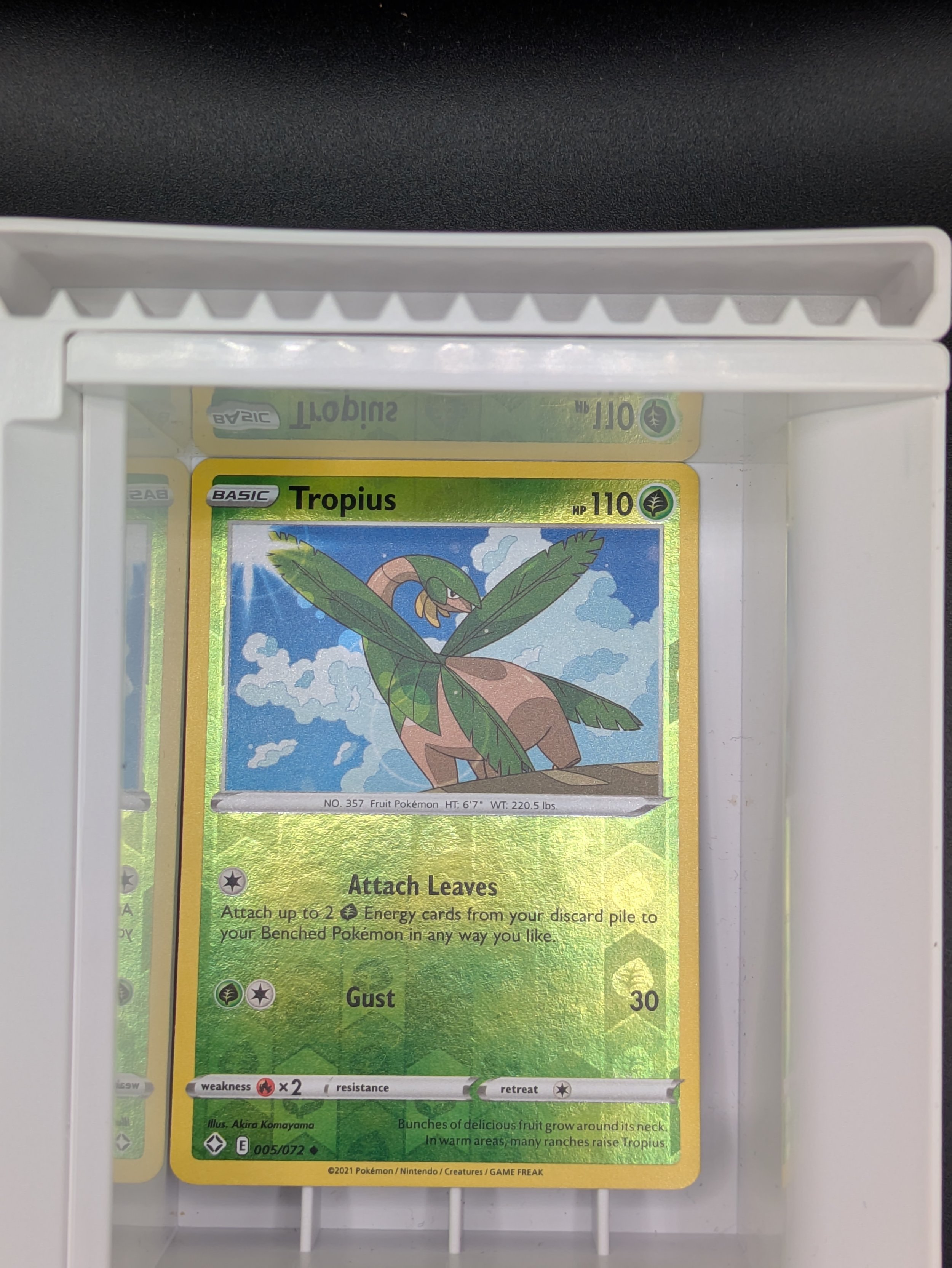 Tropius 5/72 Reverse Holo Light Played