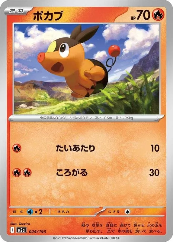 Tepig 24/193 Near Mint