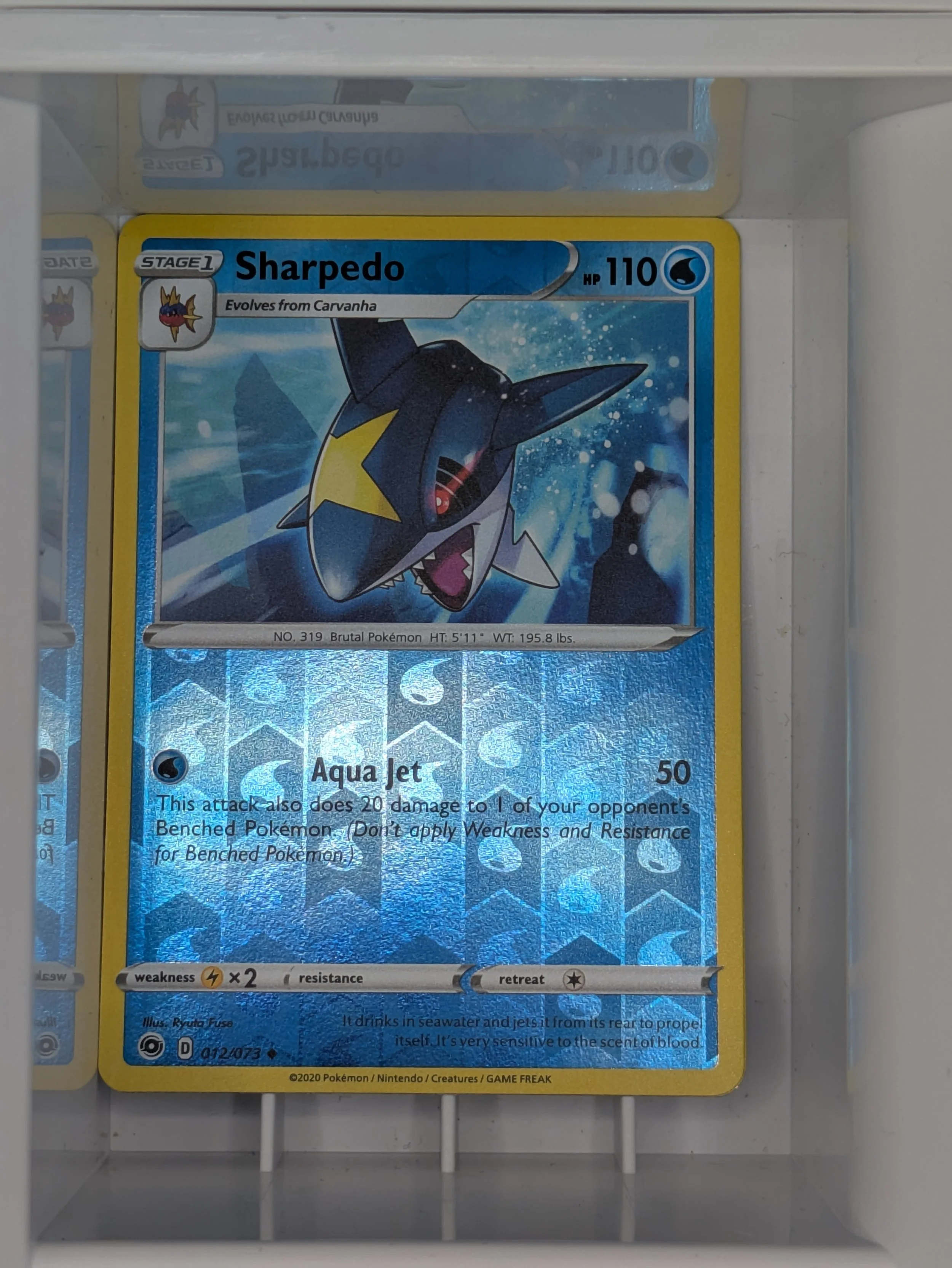 Sharpedo 12/73 Reverse Holo Light Played