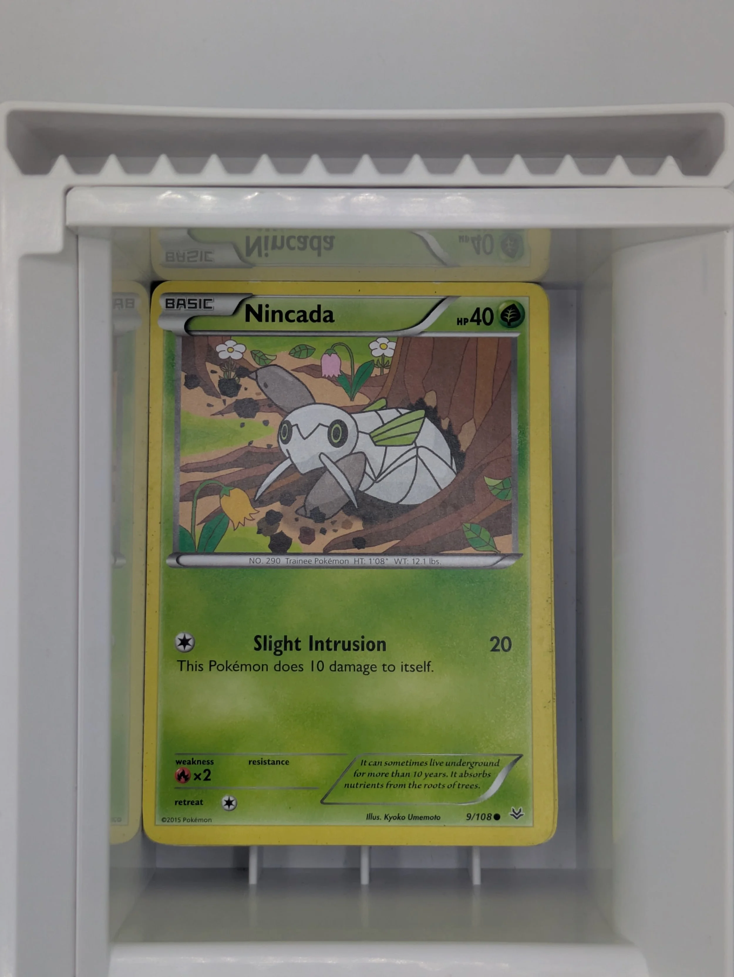 Roaring Skies - Nincada 9/108 Light Played