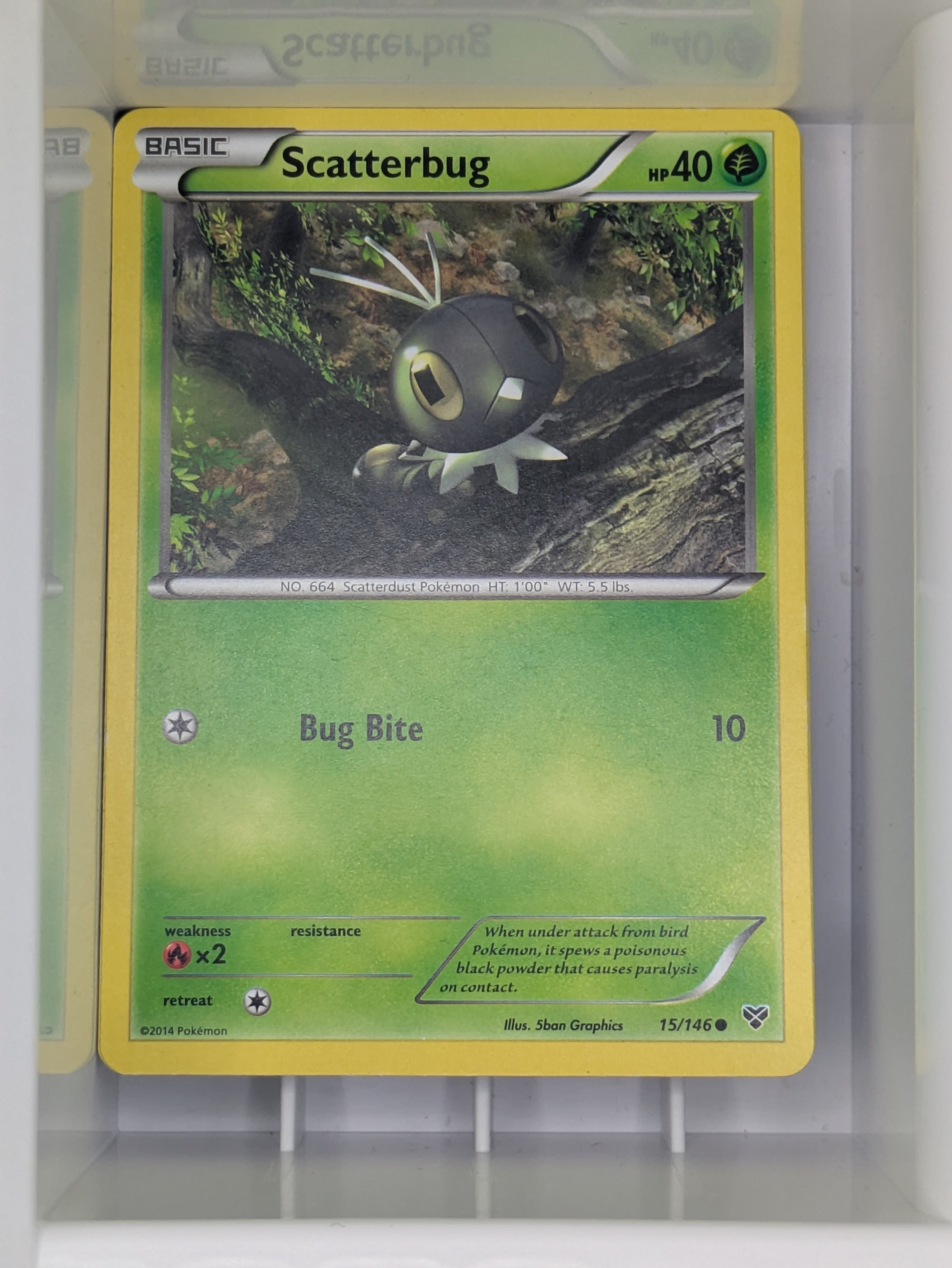 XY - Scatterbug 15/146 Light Played