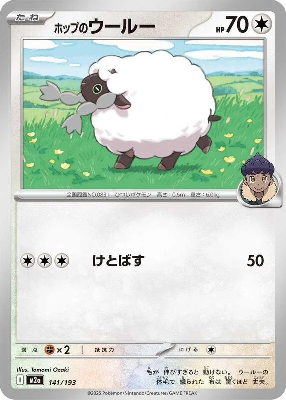 Hop's Wooloo 141/193 Near Mint