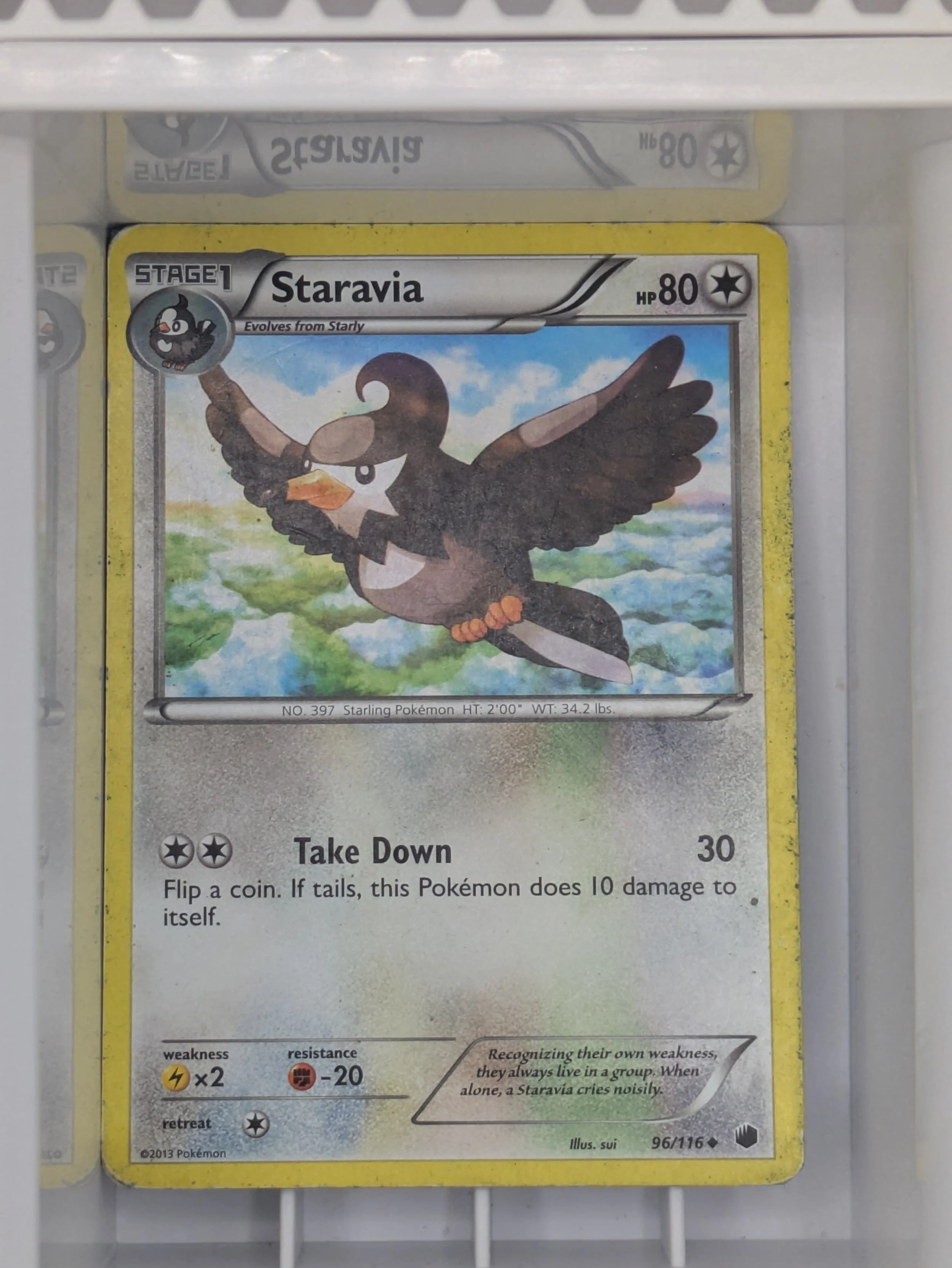 Plasma Freeze - Staravia 96/116 Heavy Played