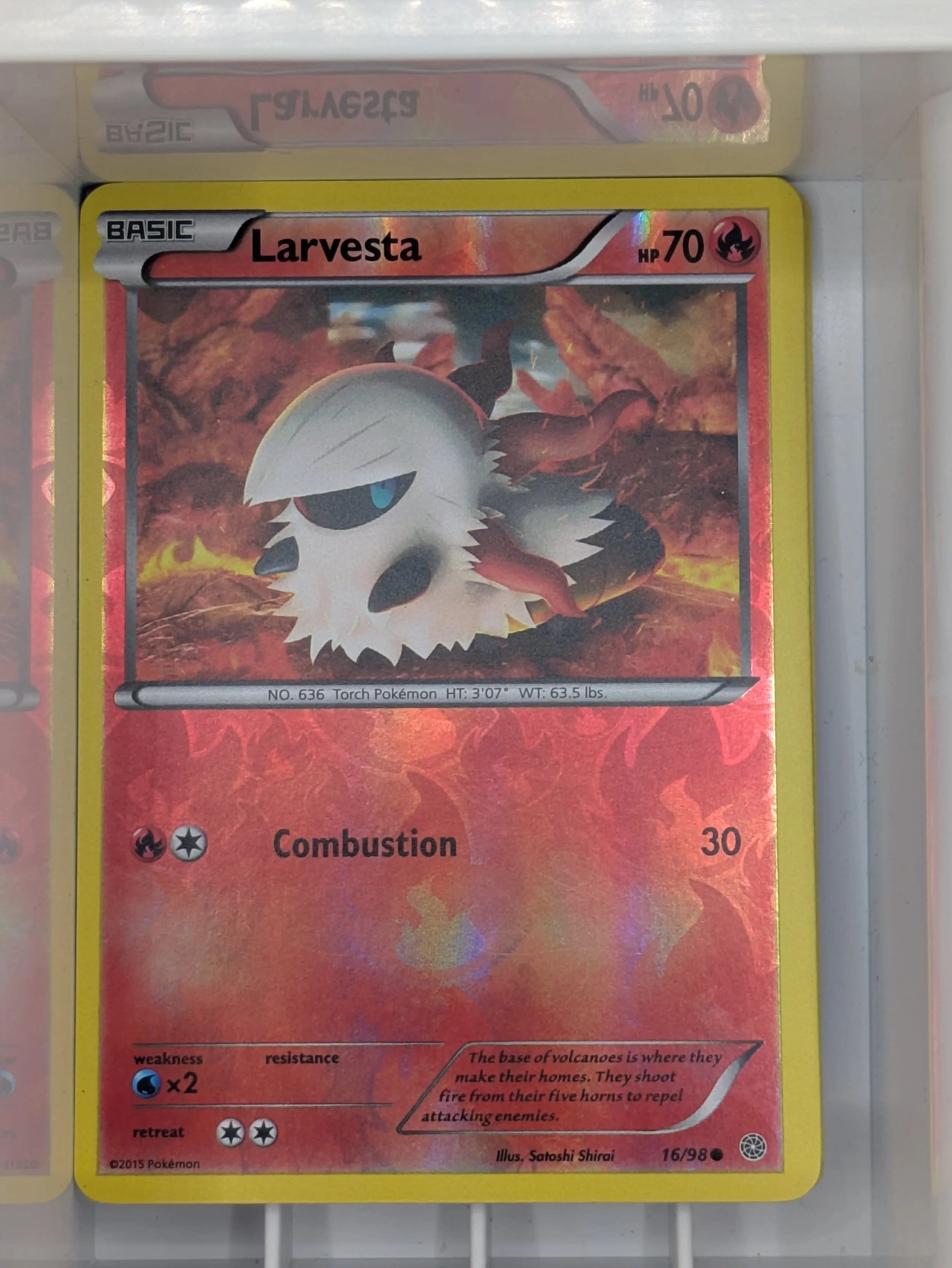 Larvesta 16/98 Reverse Holo Light Played