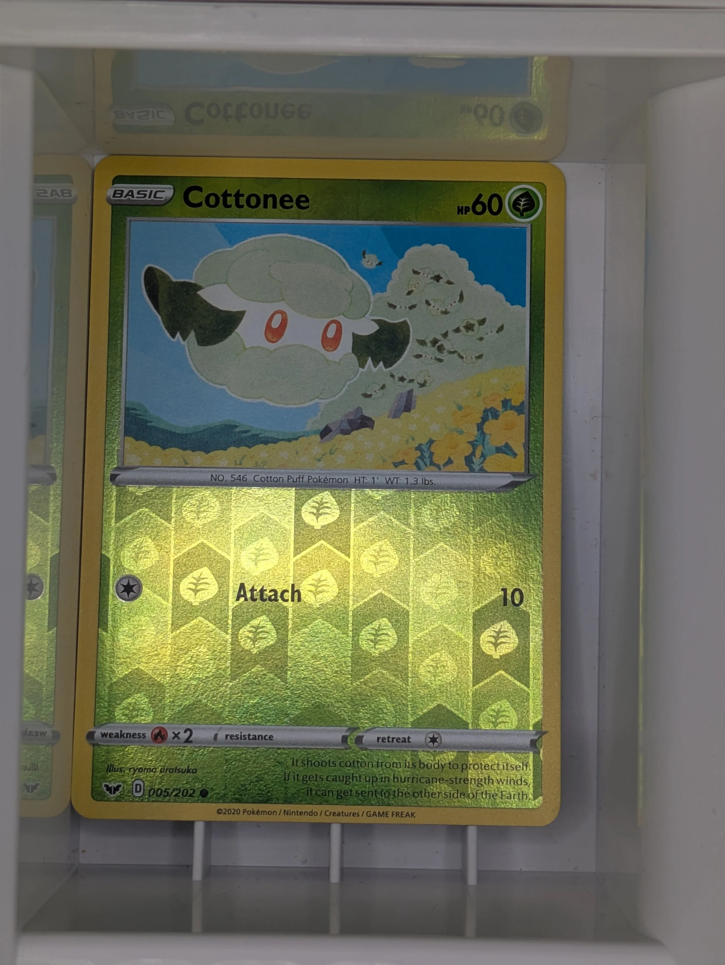 Cottonee 5/202 Reverse Holo Light Played