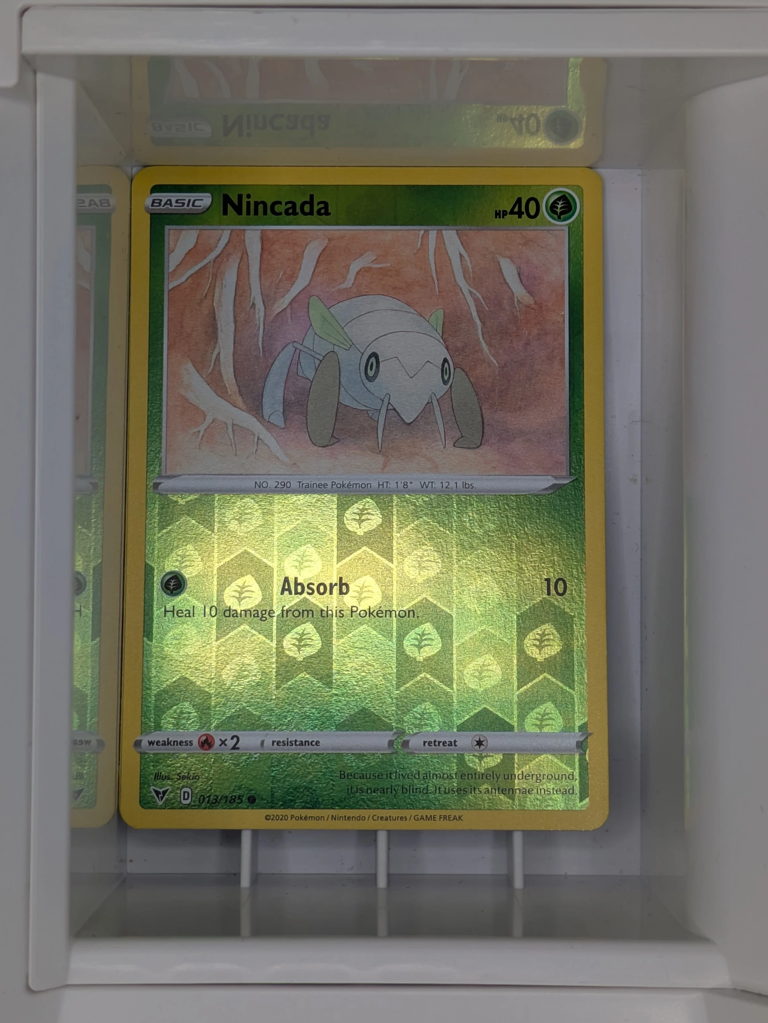 Nincada 13/185 Reverse Holo Light Played