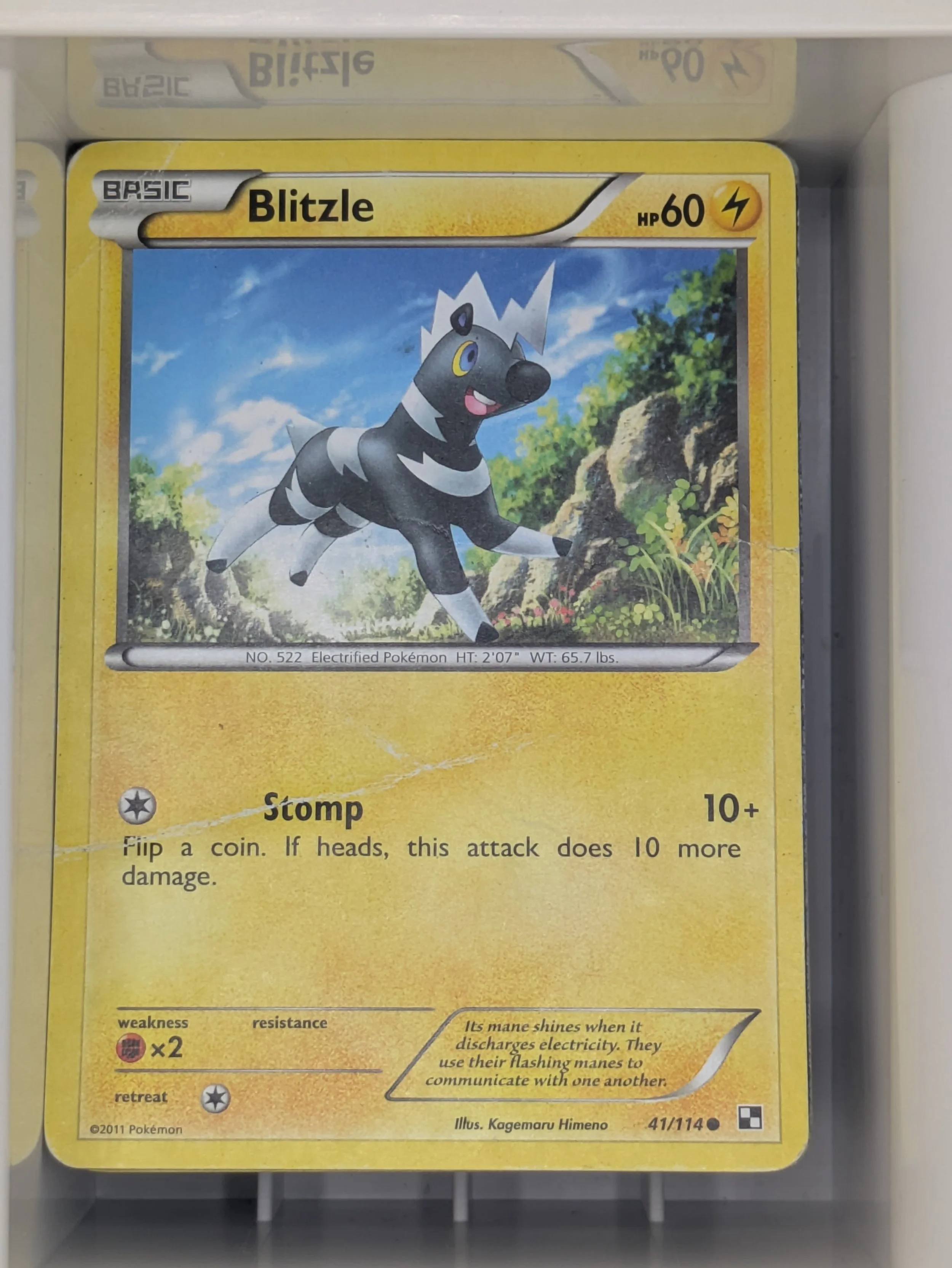 B&W - Blitzle 41/114 Damaged