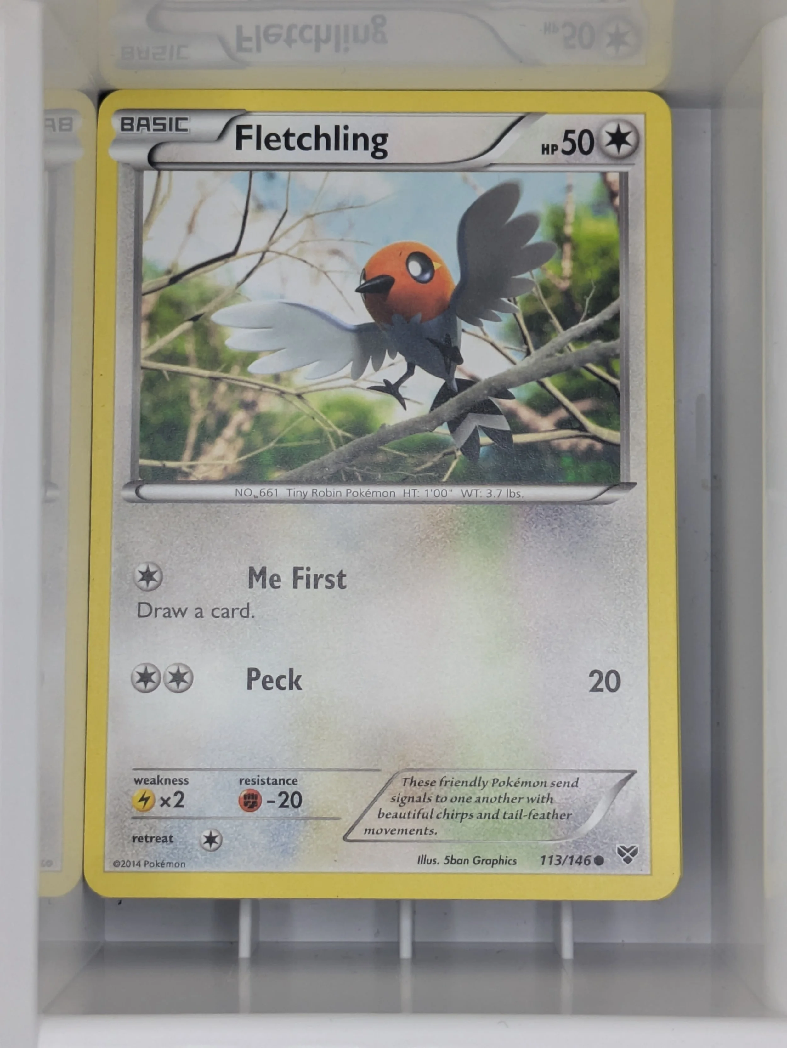 XY - Fletchling 113/146 Mild Played