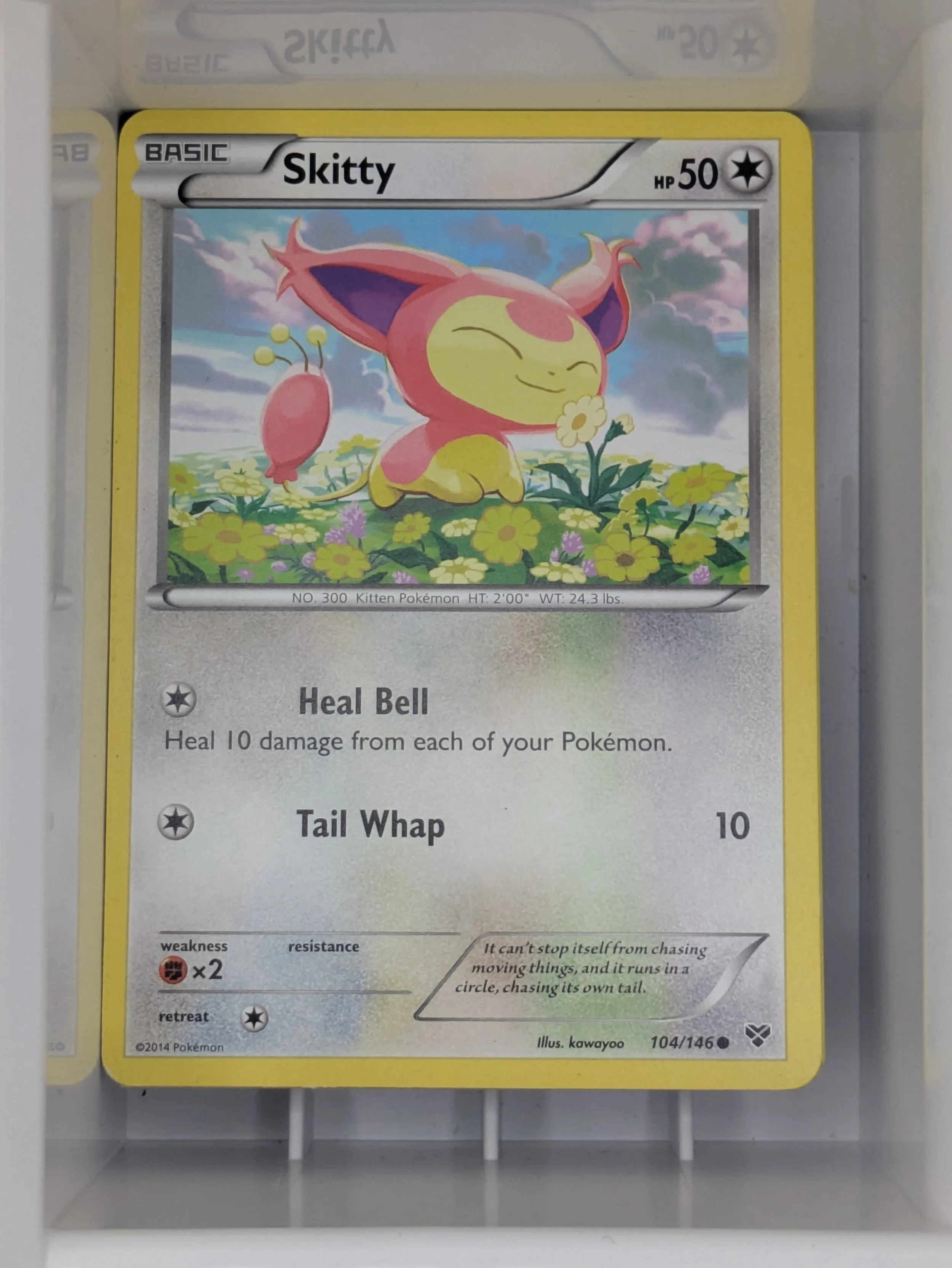XY - Skitty 104/146 Mild Played