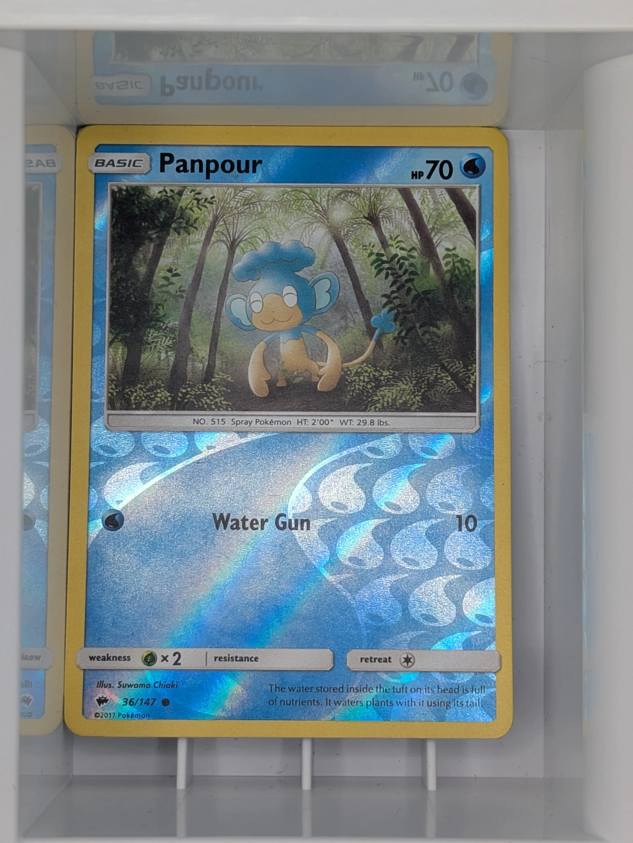 Panpour 36/147 Reverse holo Light Played