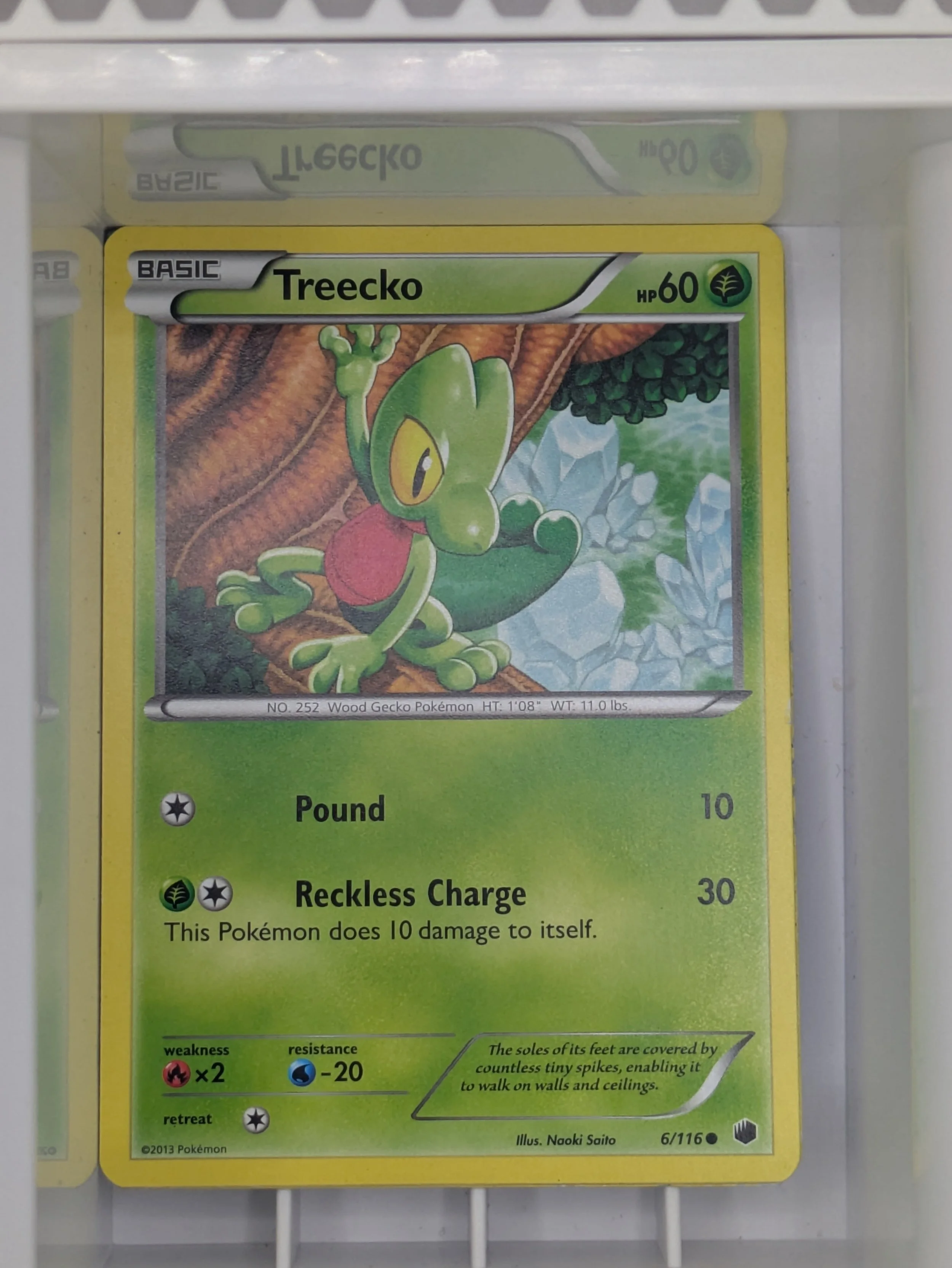 Plasma Freeze - Treecko 6/116 Light Played