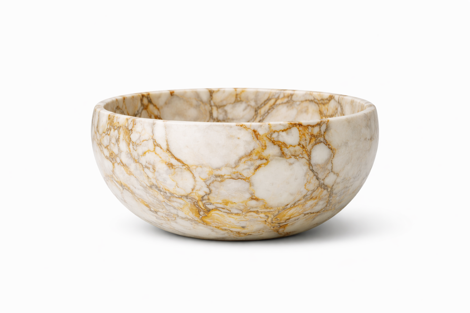 ChatGPT Image Feb 20, 2026, 01_40_47 PM.png