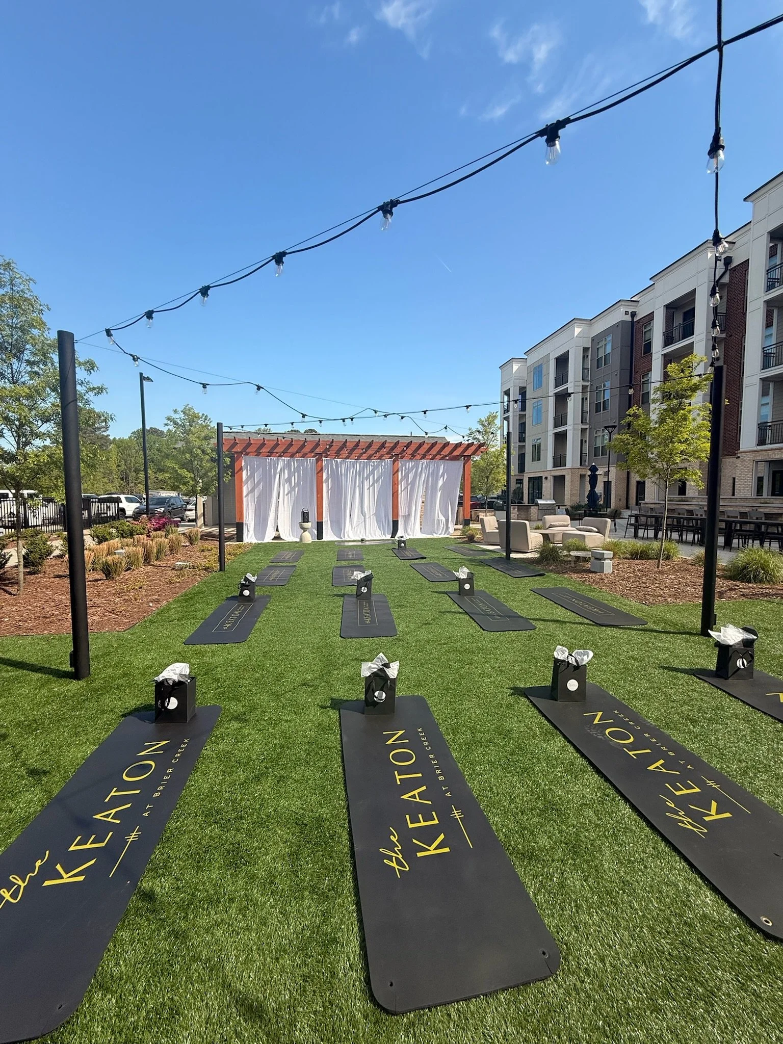 Yoga on the Yard