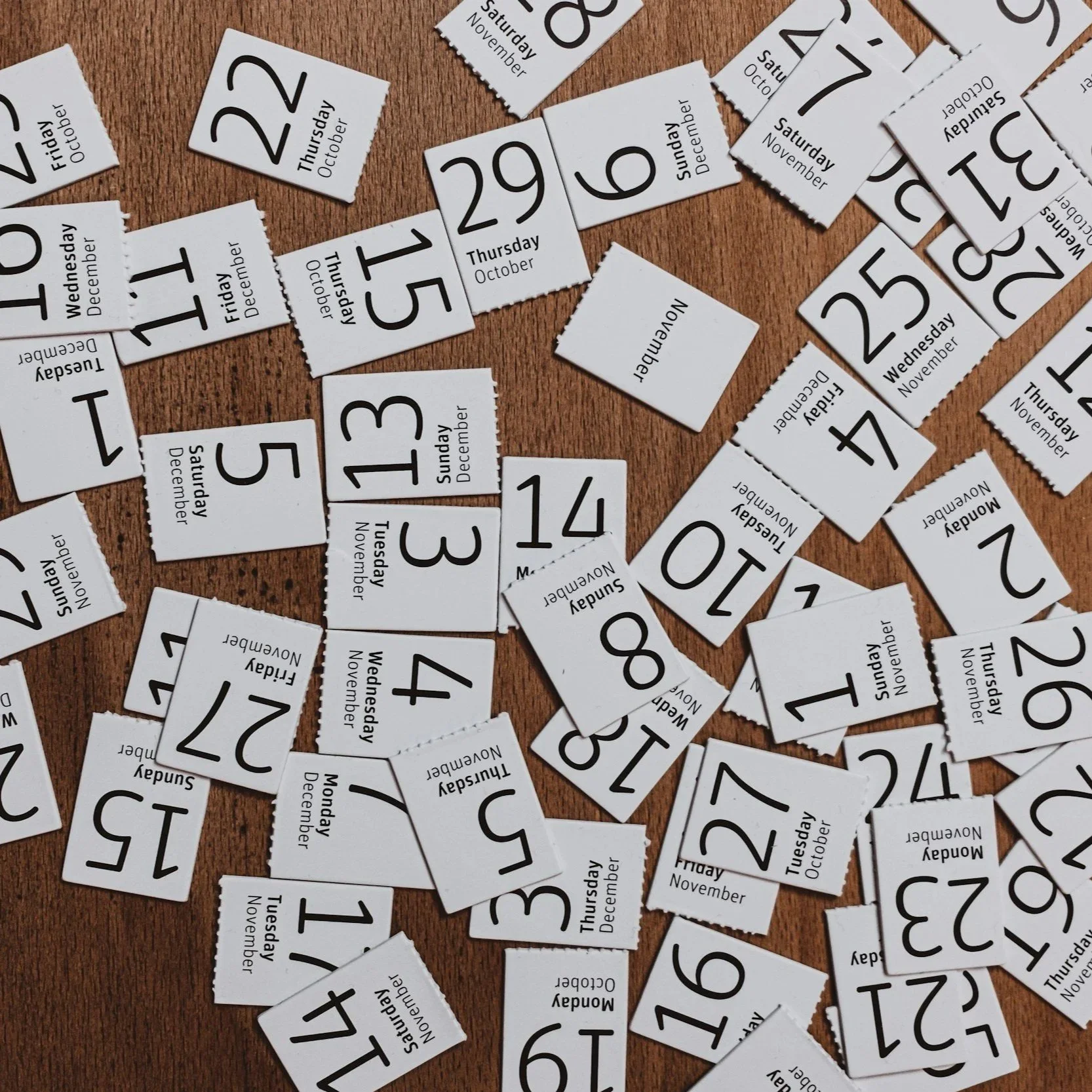 Winter Community Night