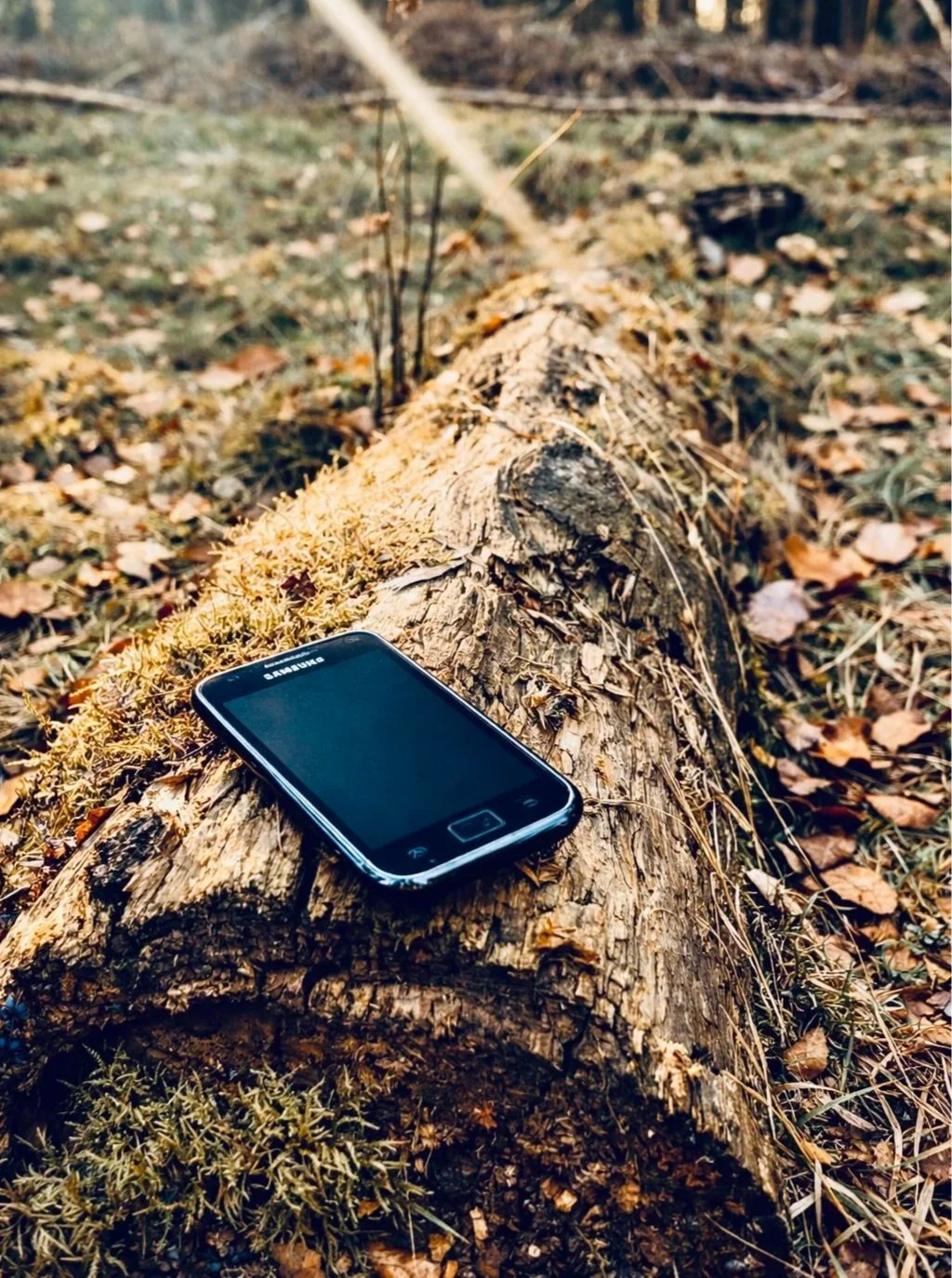 Ein Smartphone liegt auf einem umgefallenen Baumstamm im Wald, umgeben von Laub und Moos.