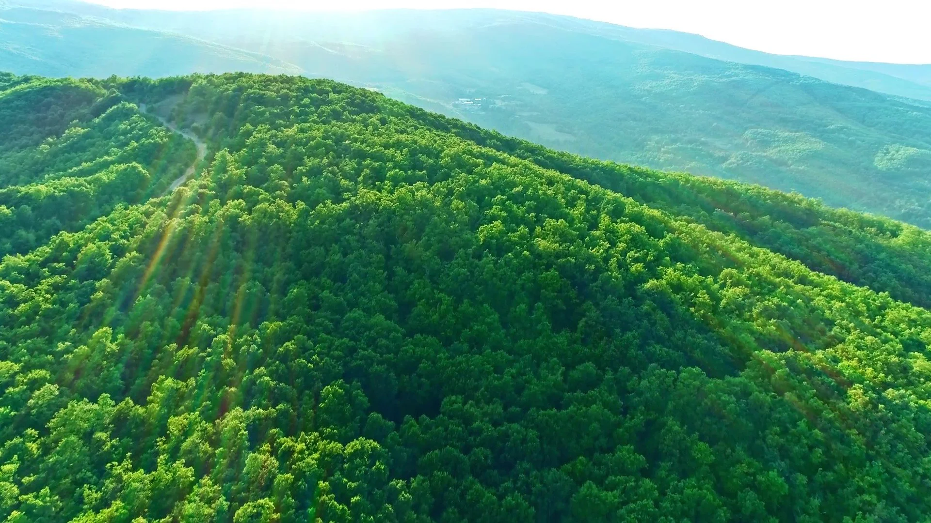 159956324-aerial-green-scenery-forested-_H264HD1080_Moment.jpg