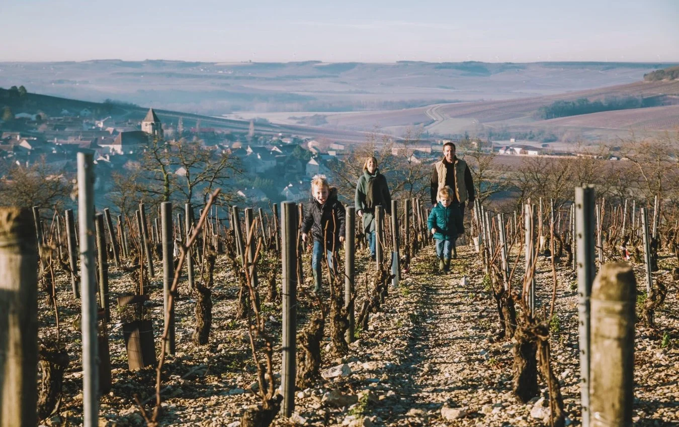 domaine de la mandeliere us importer vineyard highnote wines.jpg