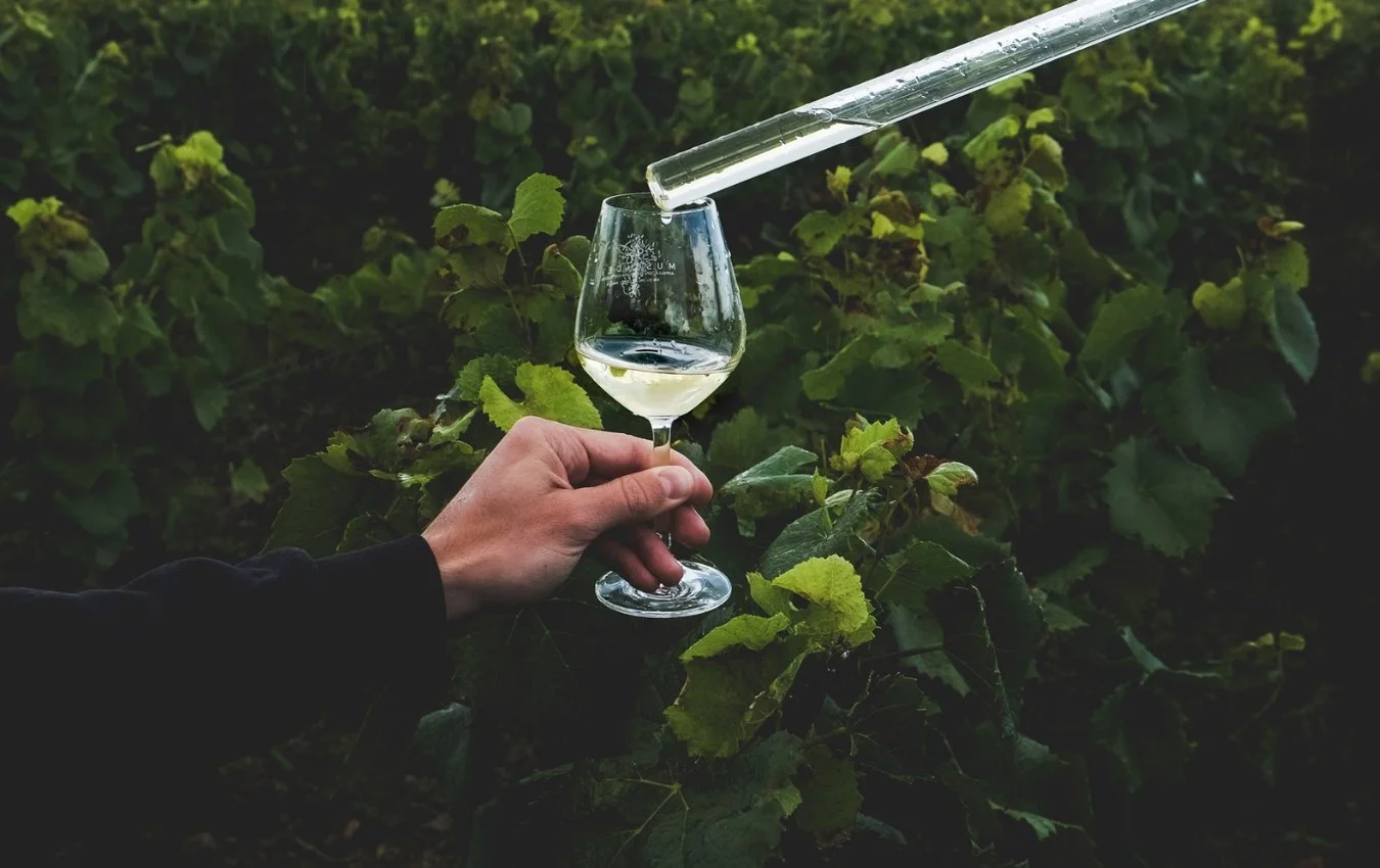 domaines vinet wine muscadet agent us importer highnote wine.jpg